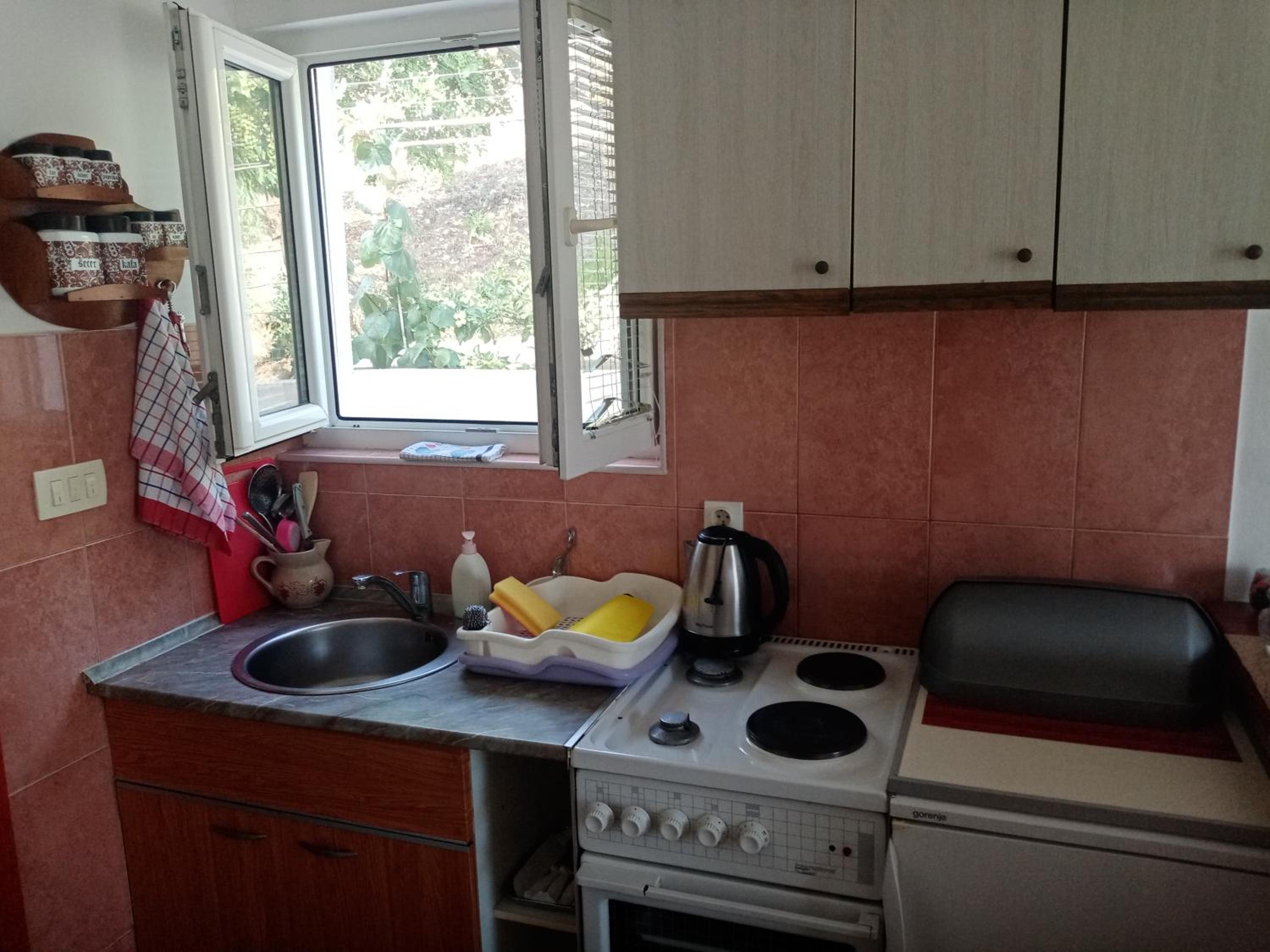 Photo 196