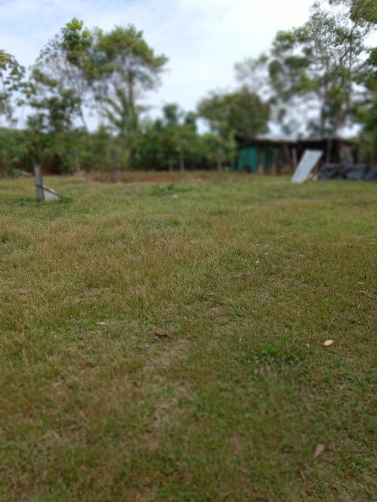 Casa de descanso - Finca Los Primos