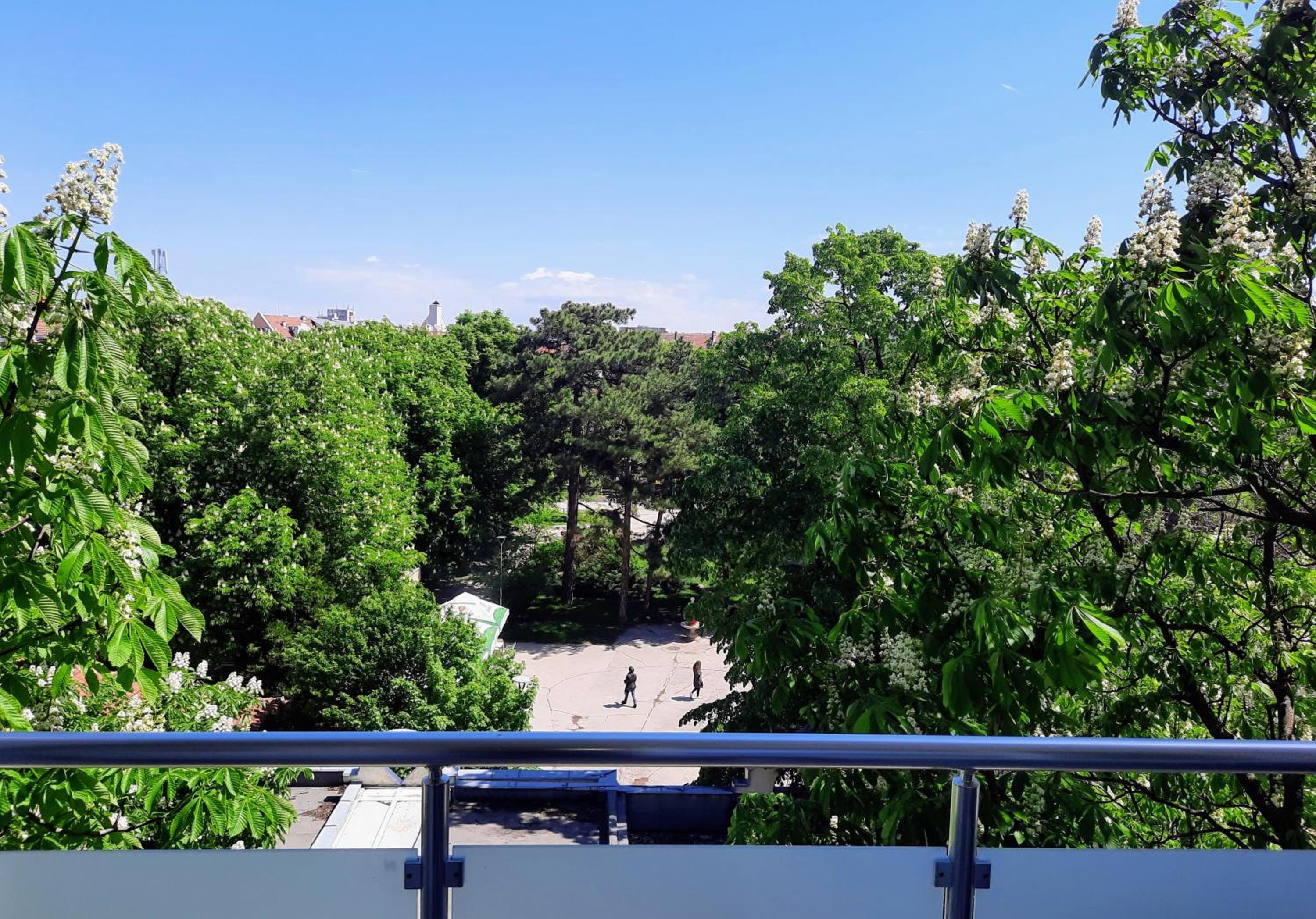NC Apartment Ruse view 2