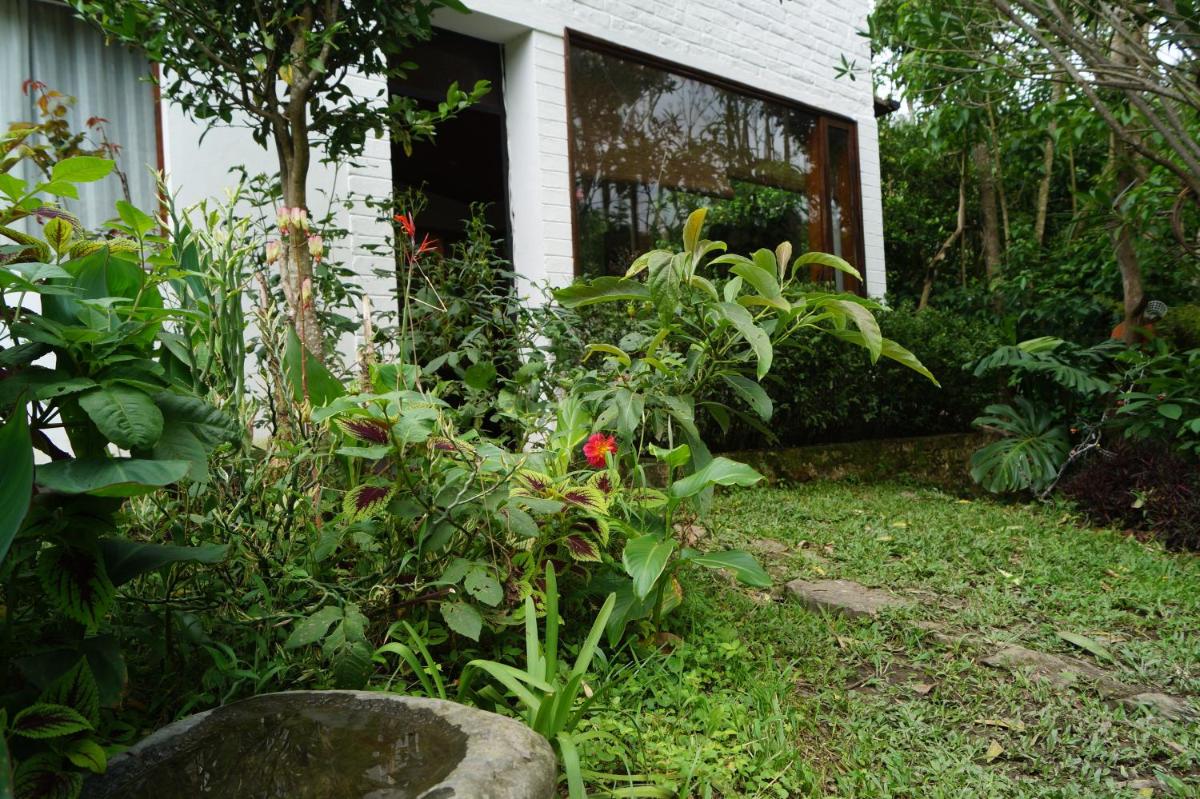 Photo 47
