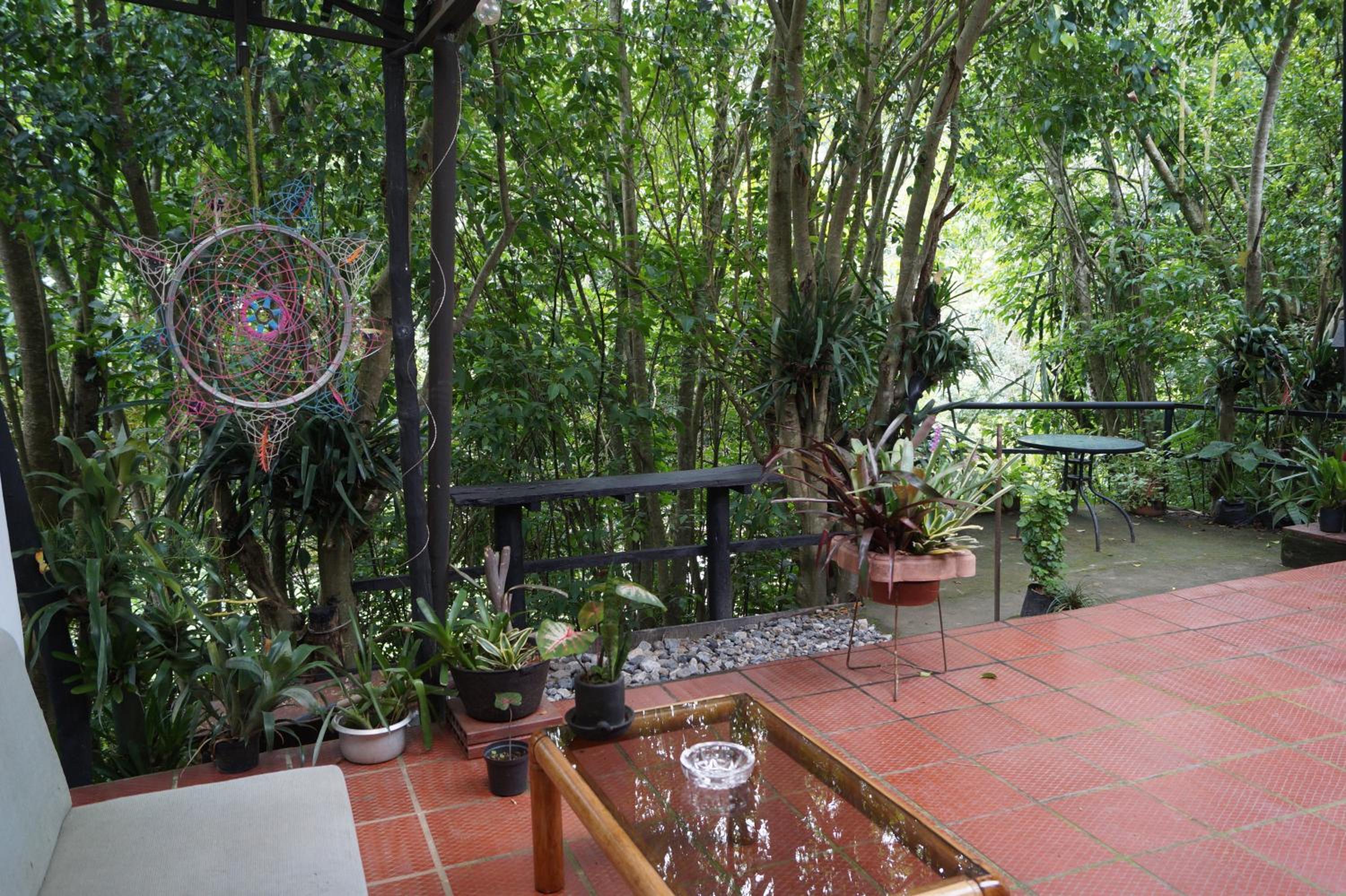 Skale Peregrino, photo 90