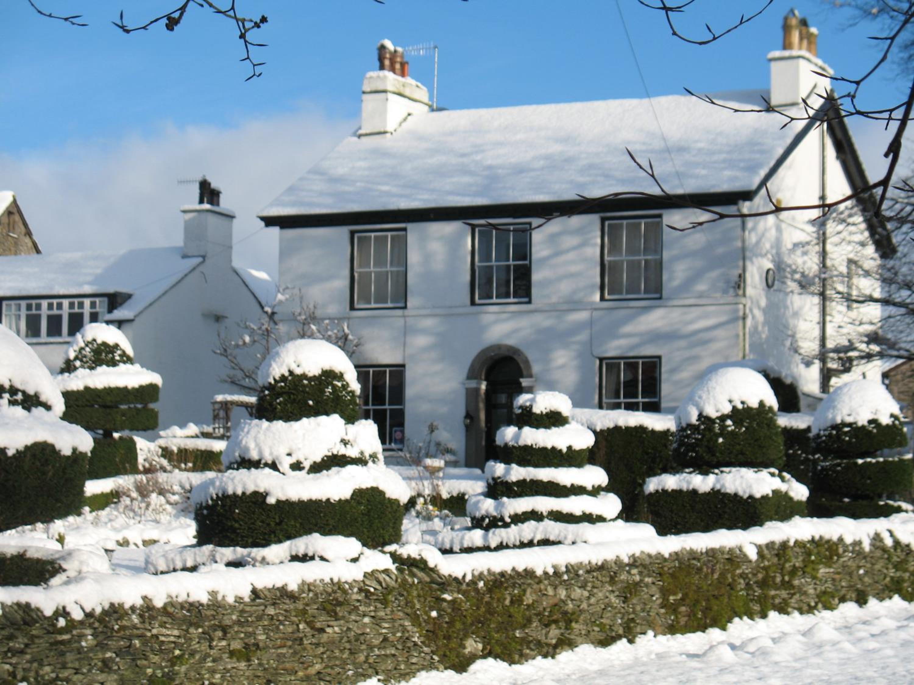 The Hill
