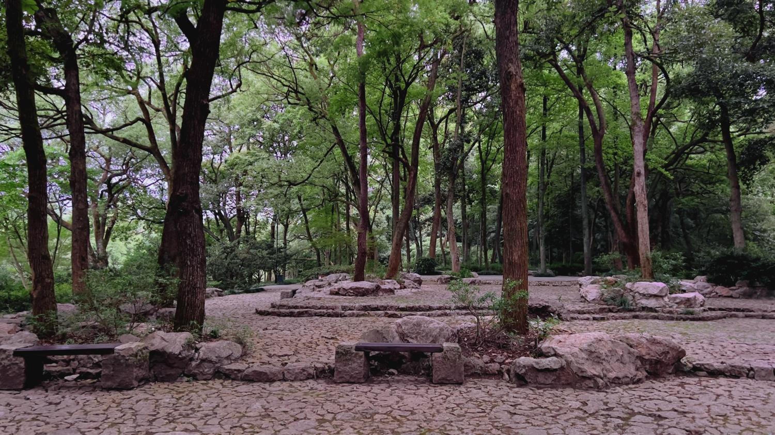 Rock&Wood Cozy House view 4