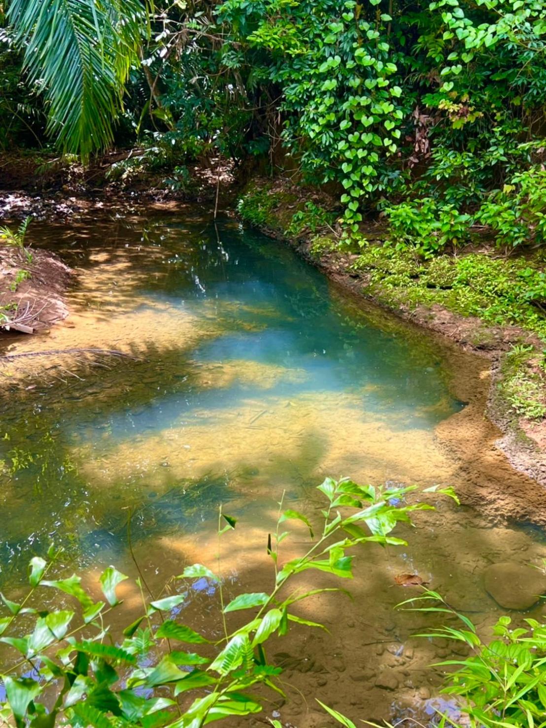 Khao Sok Silver Cliff Resort