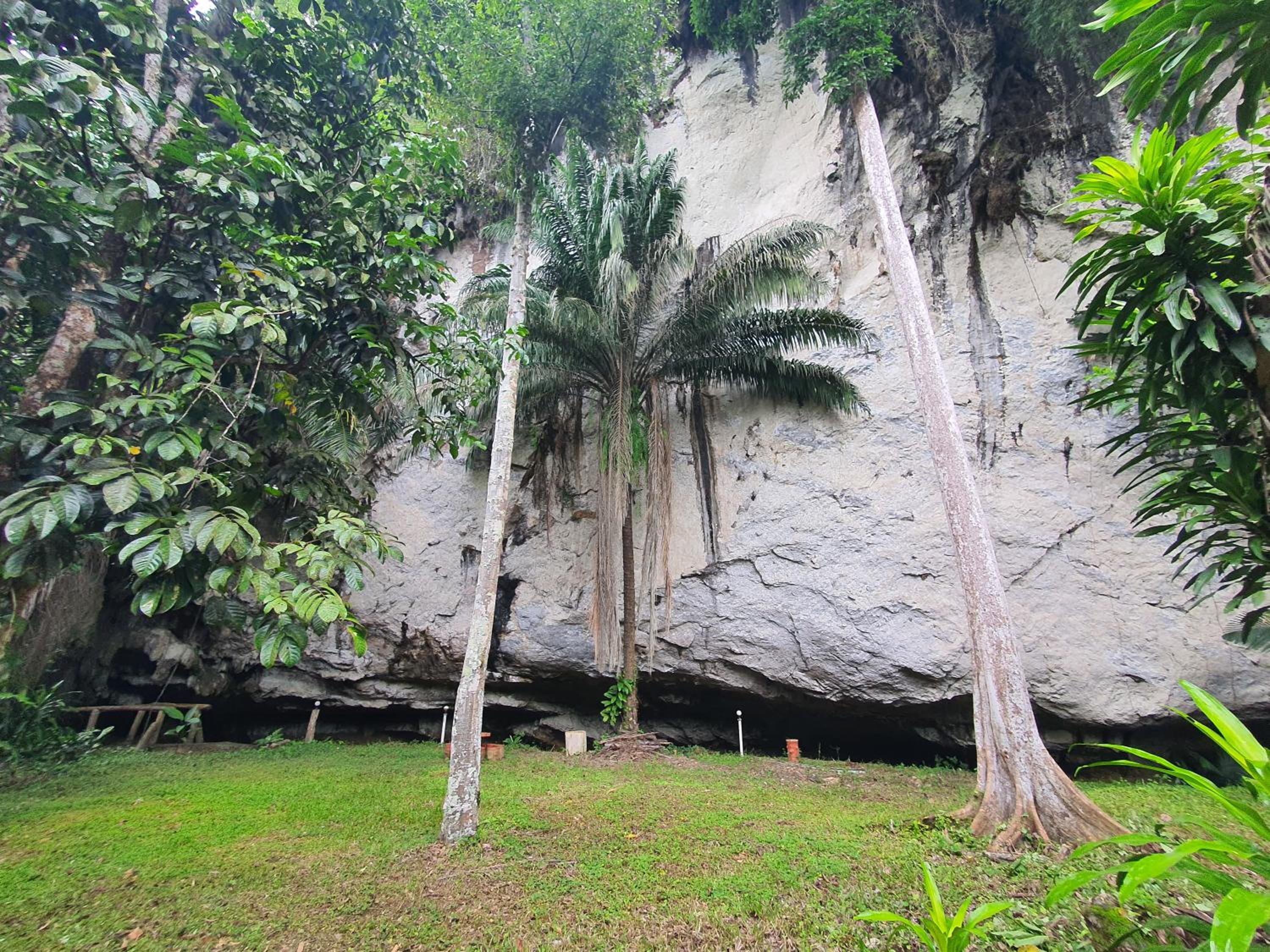 Khao Sok Silver Cliff Resort