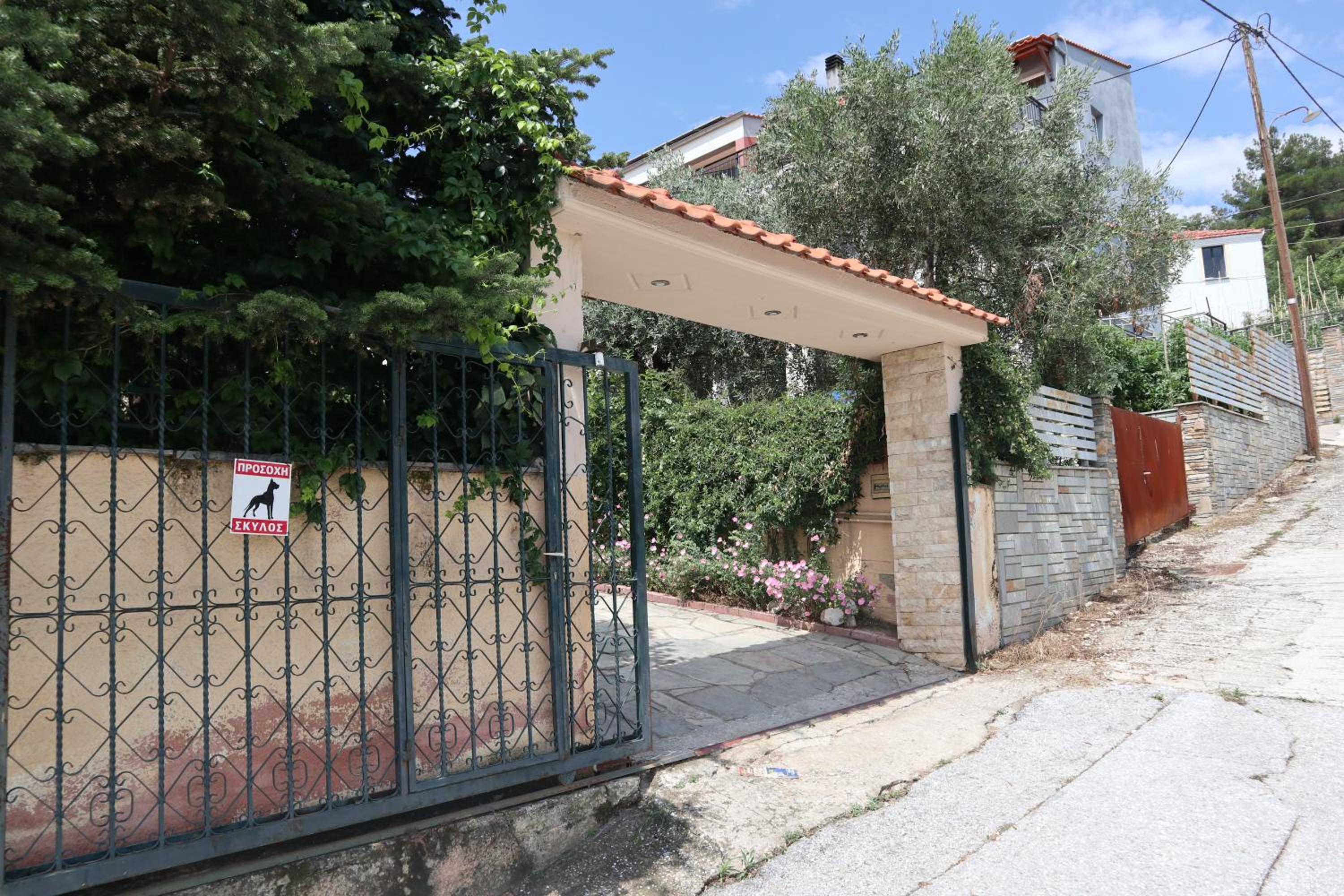 Photo 6