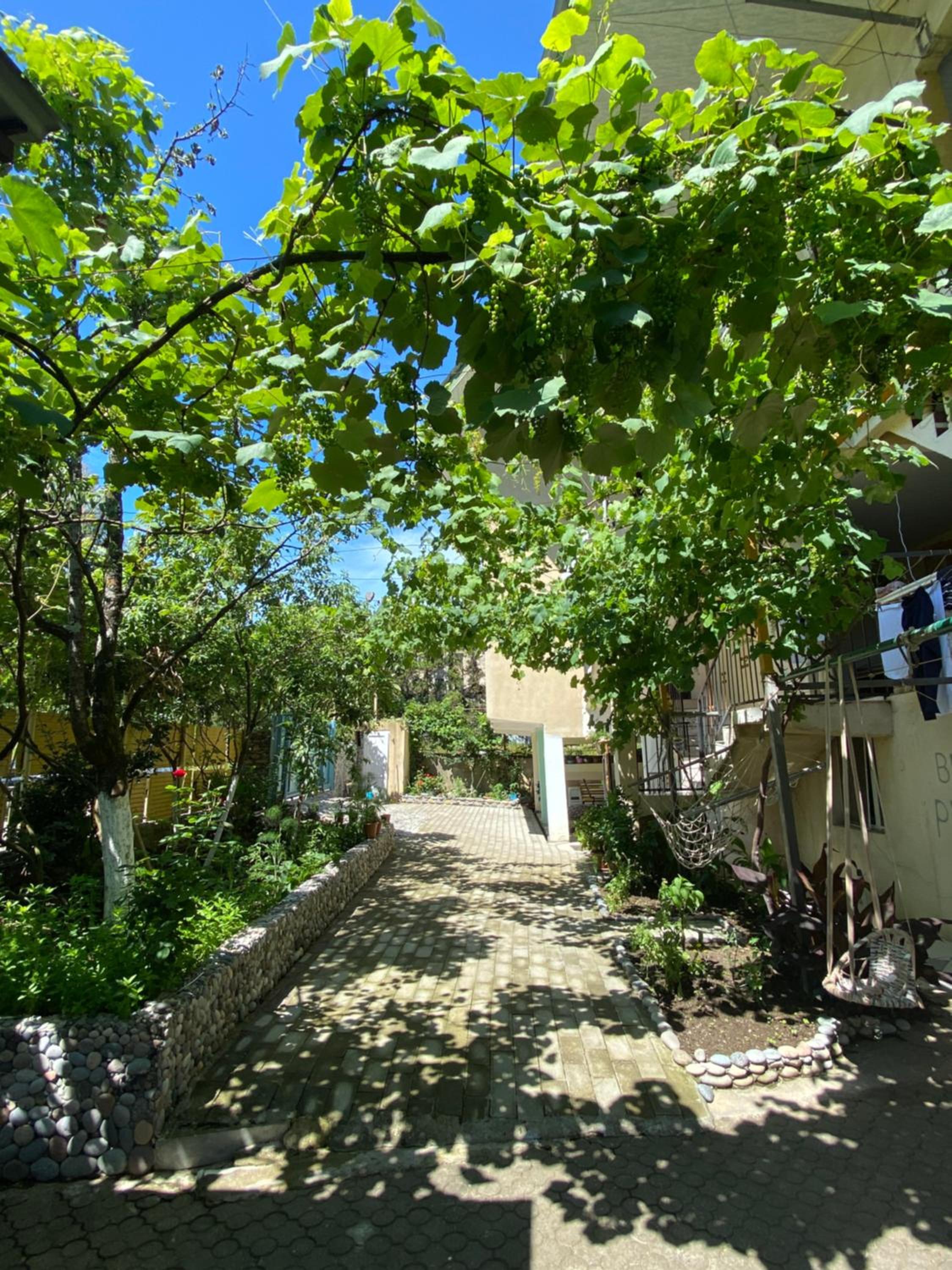Guest House Mari view 5