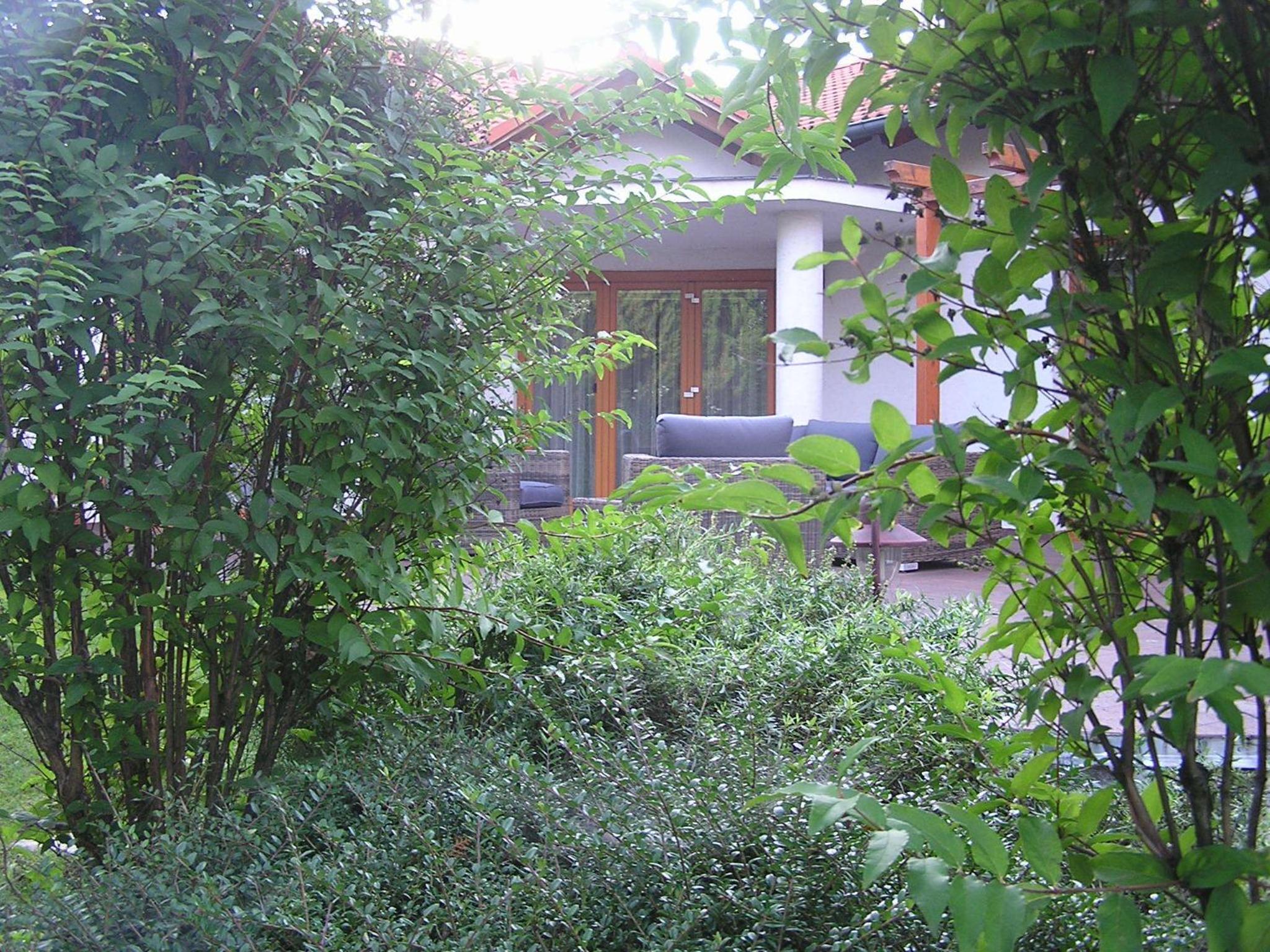 Photo 53
