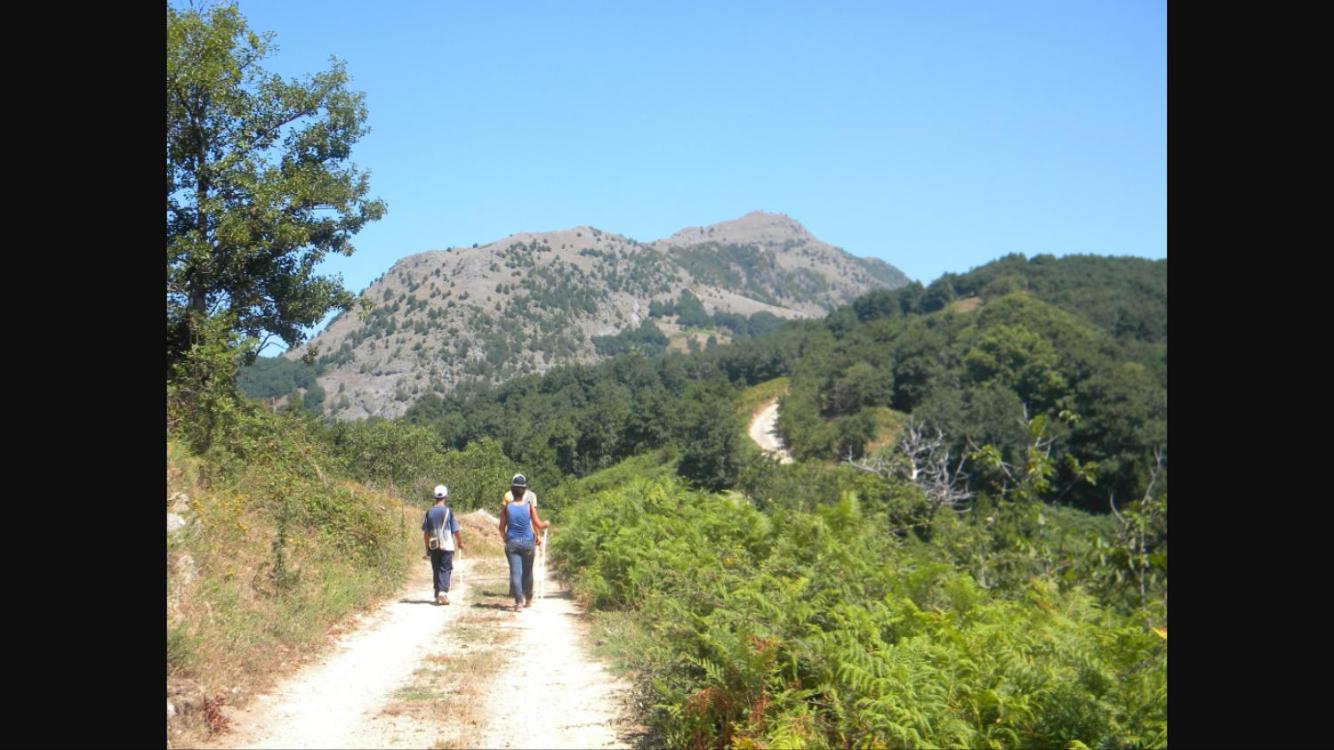 Photo 40