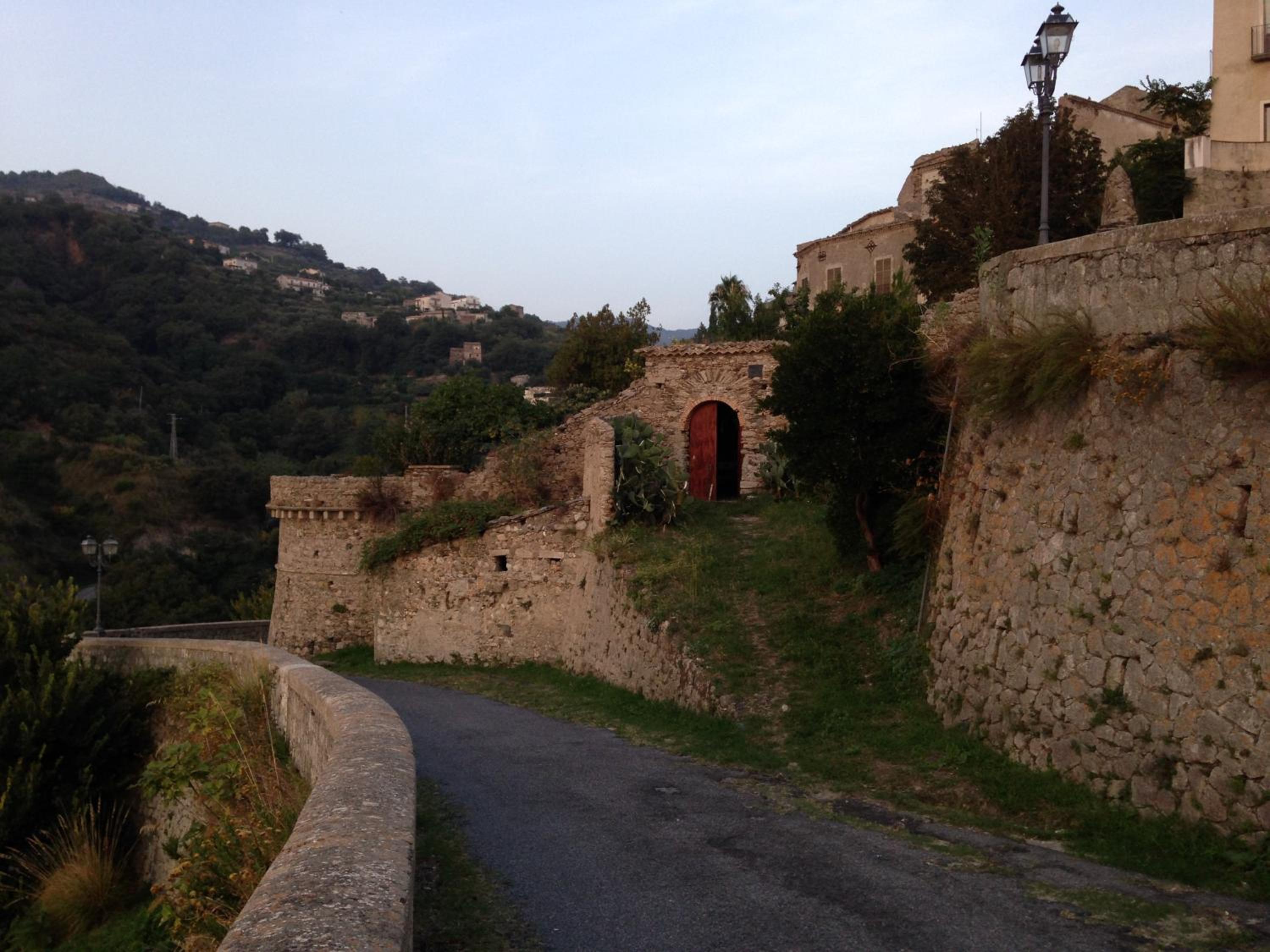 Photo 41
