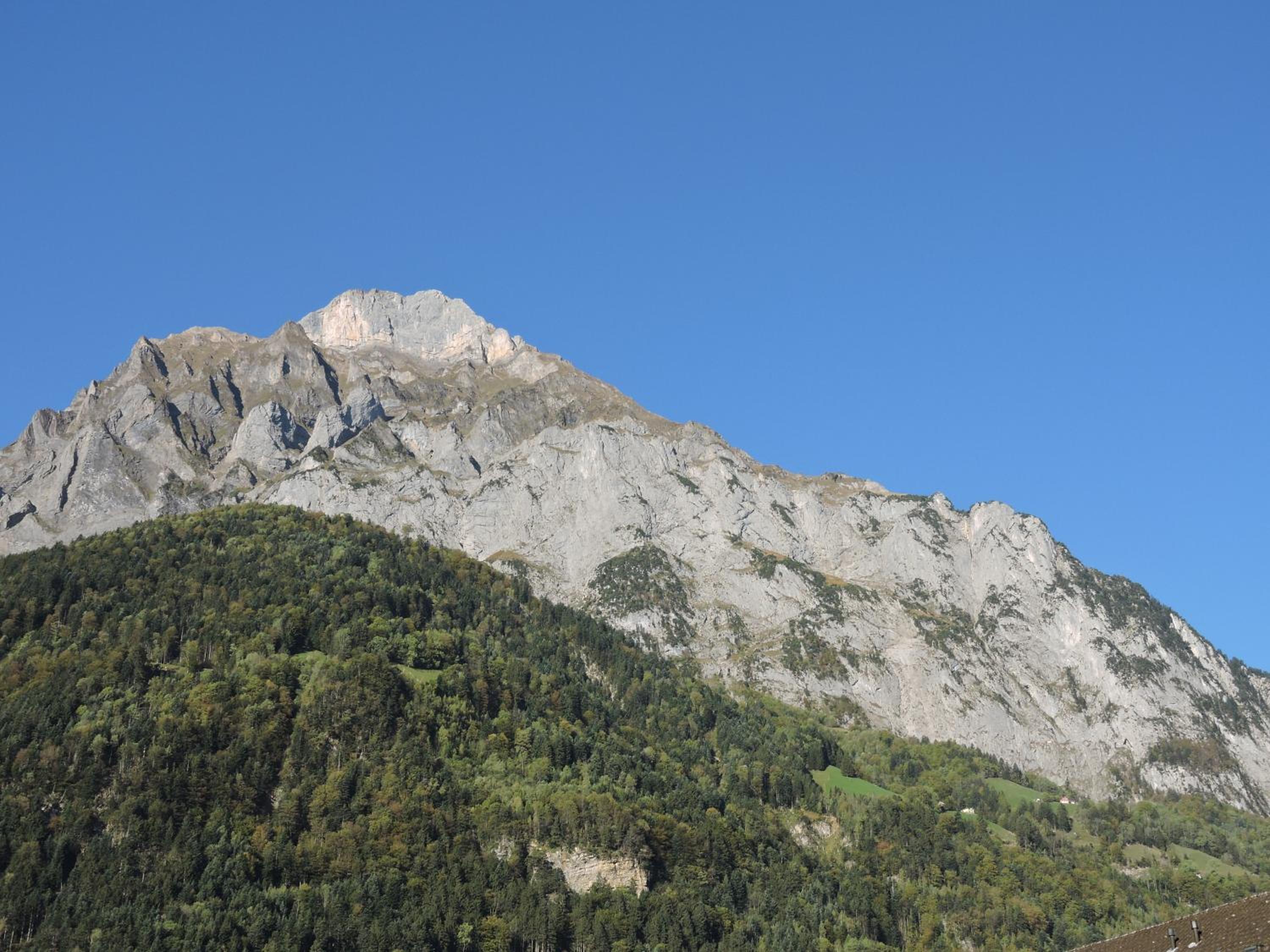 Photo 26