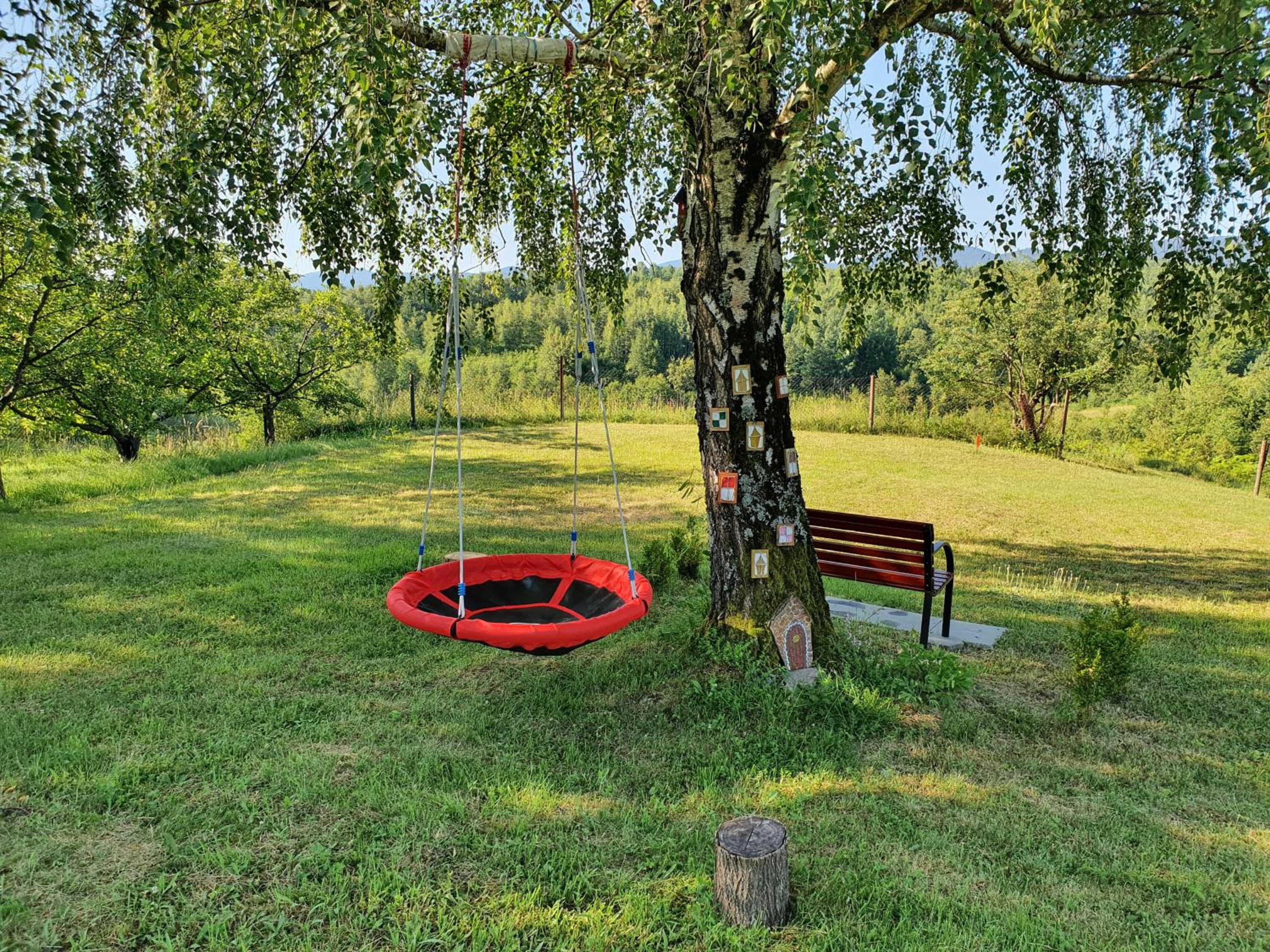 Photo 34
