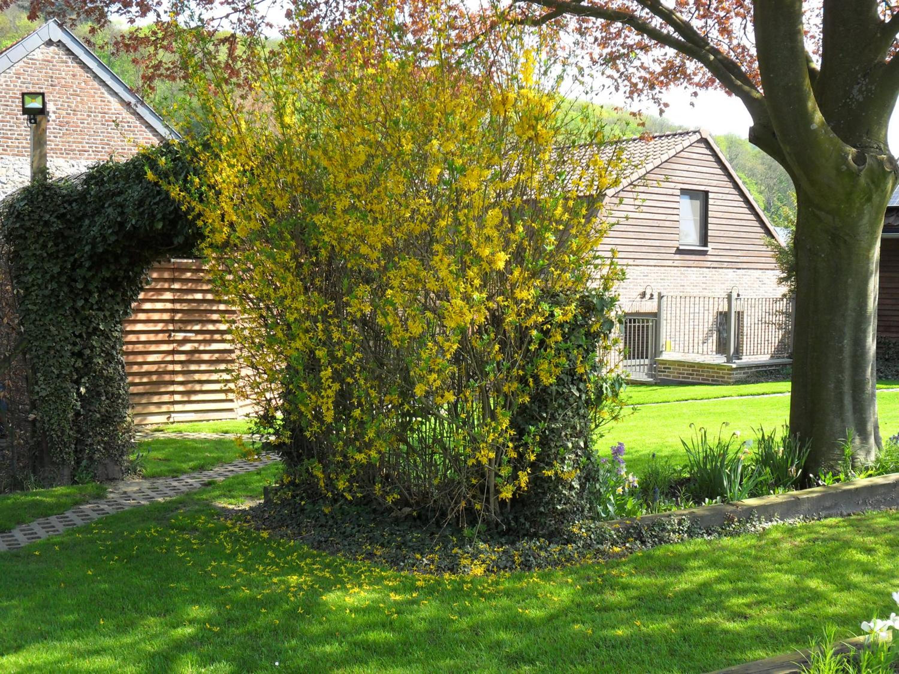 Schophemmerhoeve