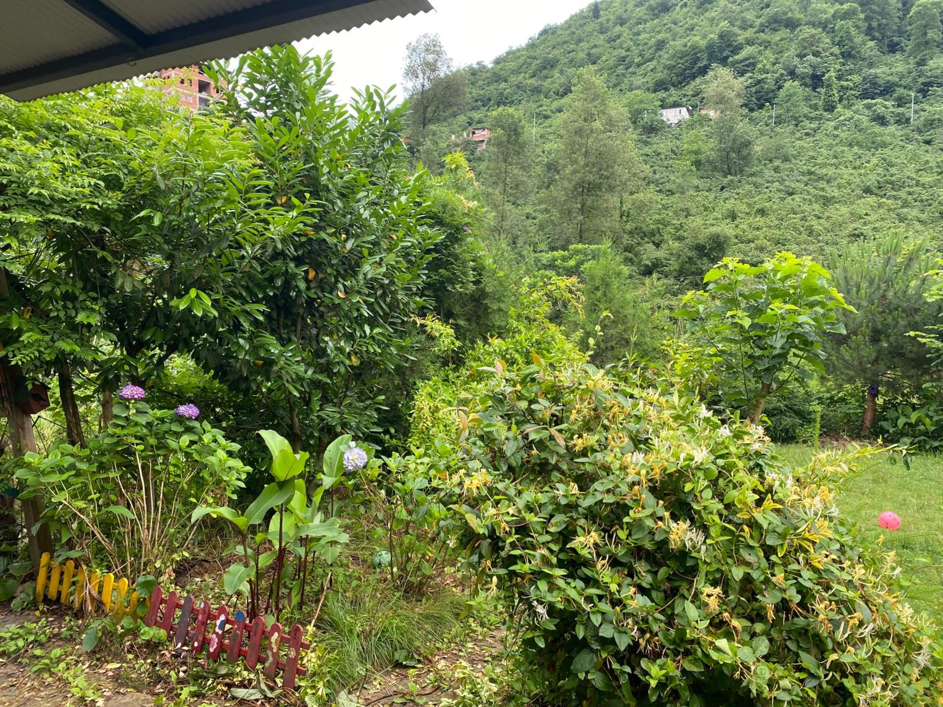 Doğa villa view 4
