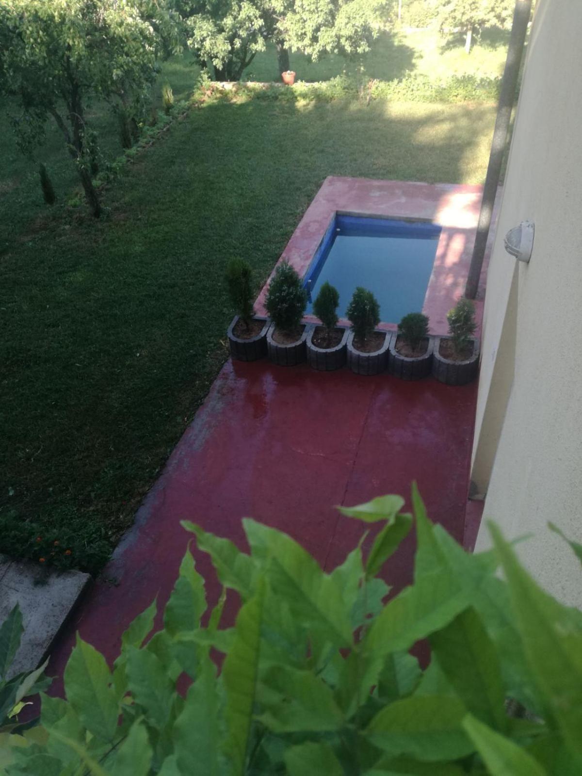 Photo 48