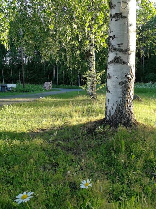 Photo 33