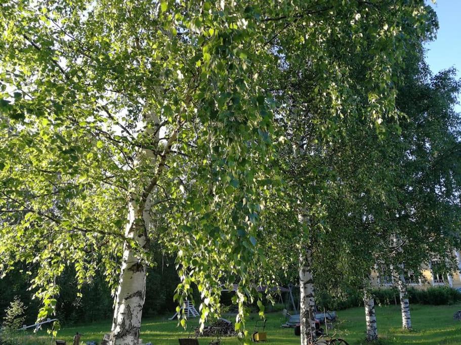 Photo 41
