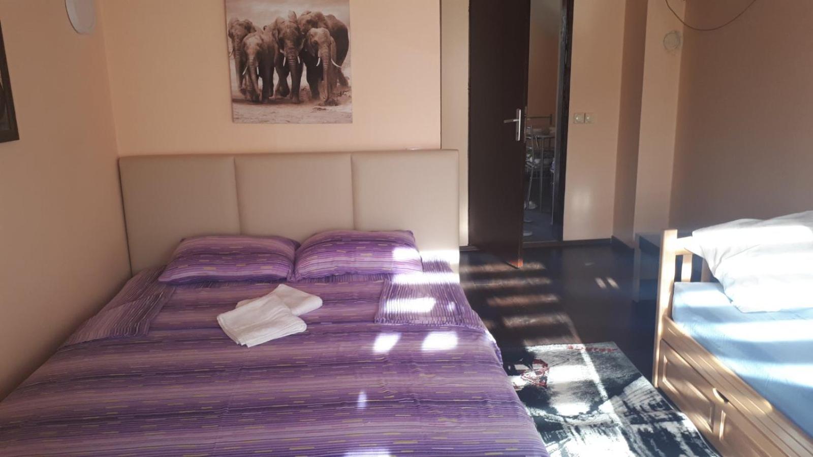 Apartman Dunja Banja Vrdnik view 2