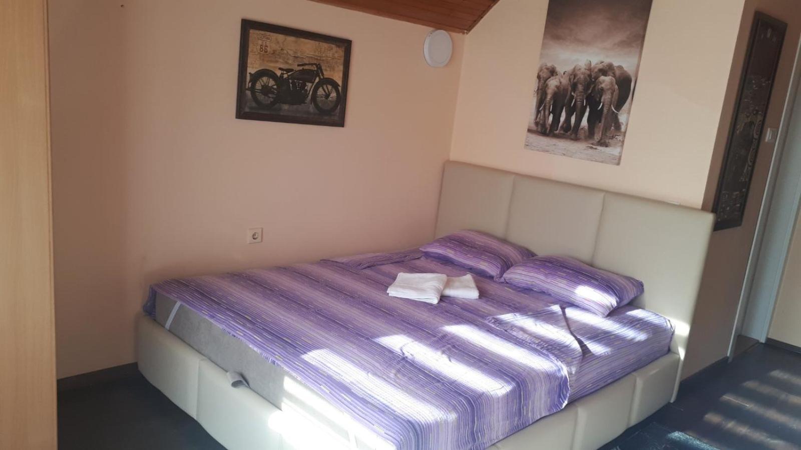 Apartman Dunja Banja Vrdnik view 3