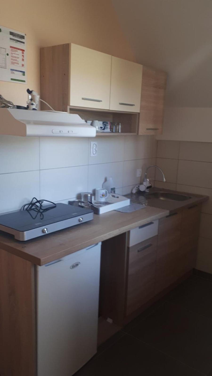 Apartman Dunja Banja Vrdnik view 4
