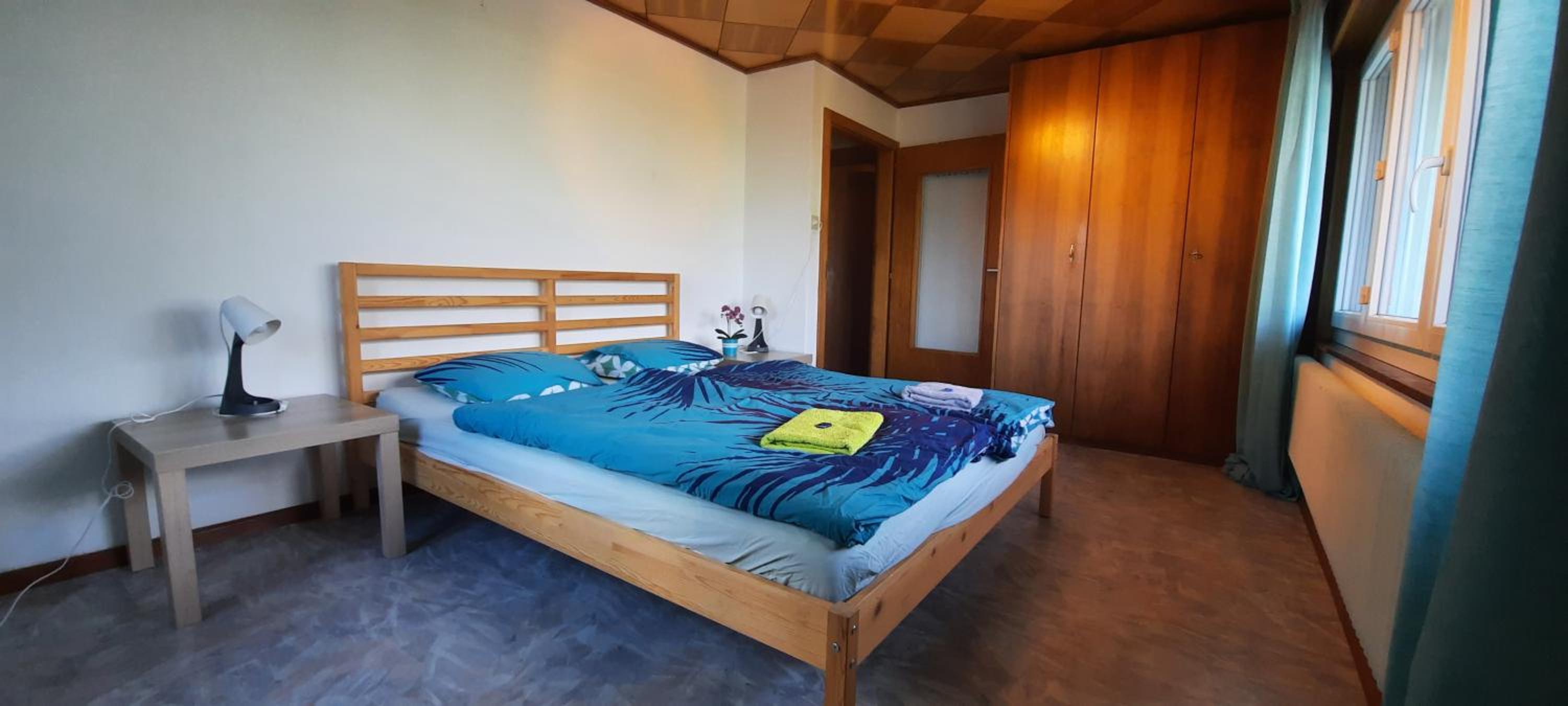 Grand appartement 6 personnes, surf, ski et randonnées view 5