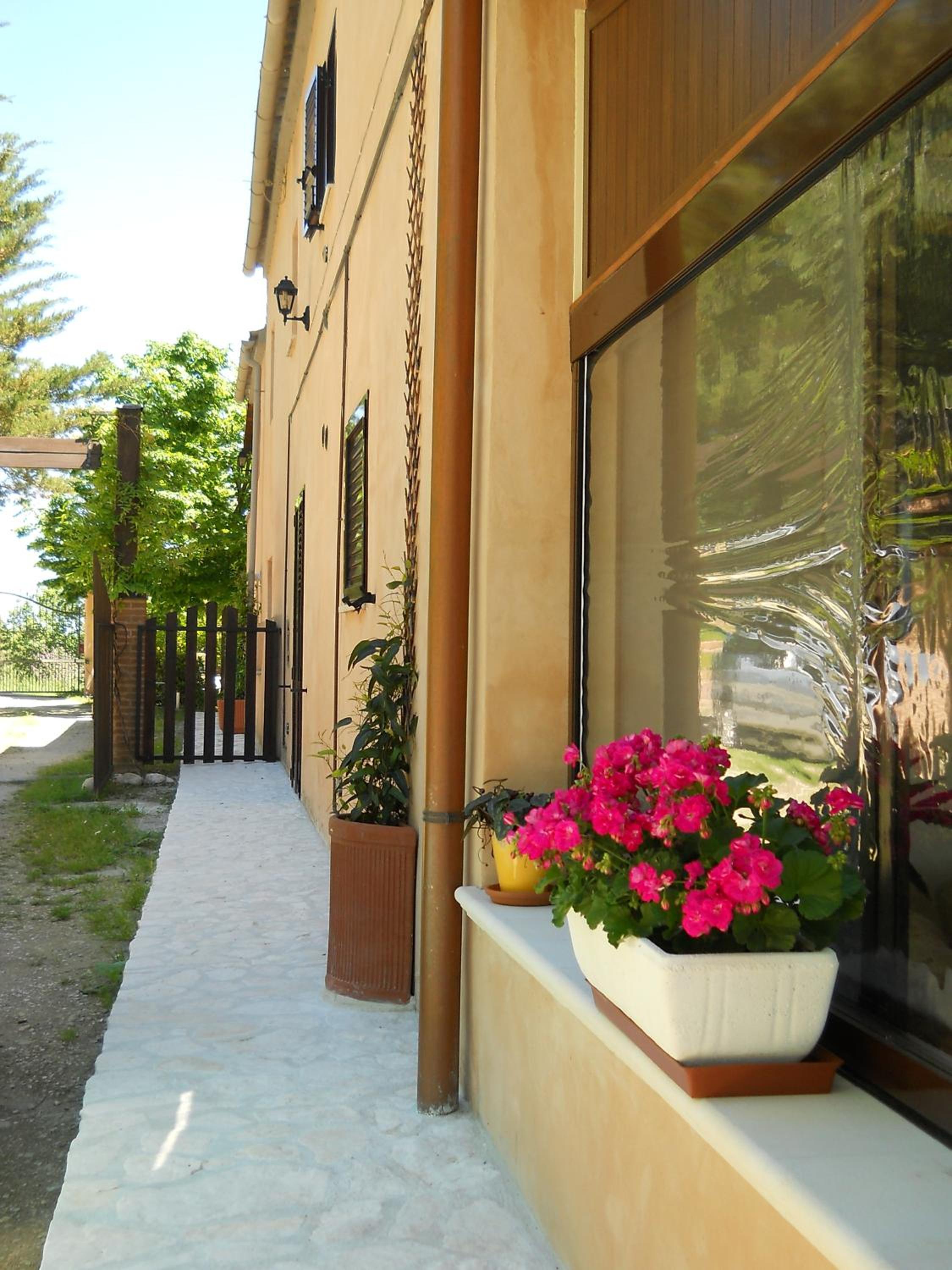 Photo 41