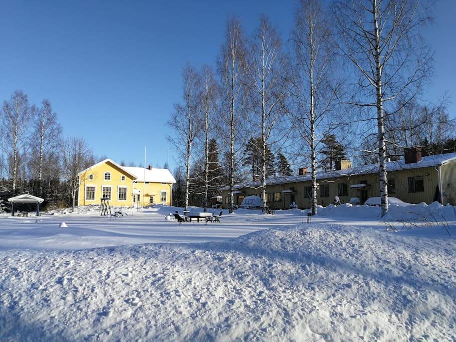 Photo 7