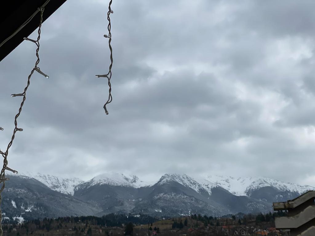 Pensiunea Casa Zanet view 2