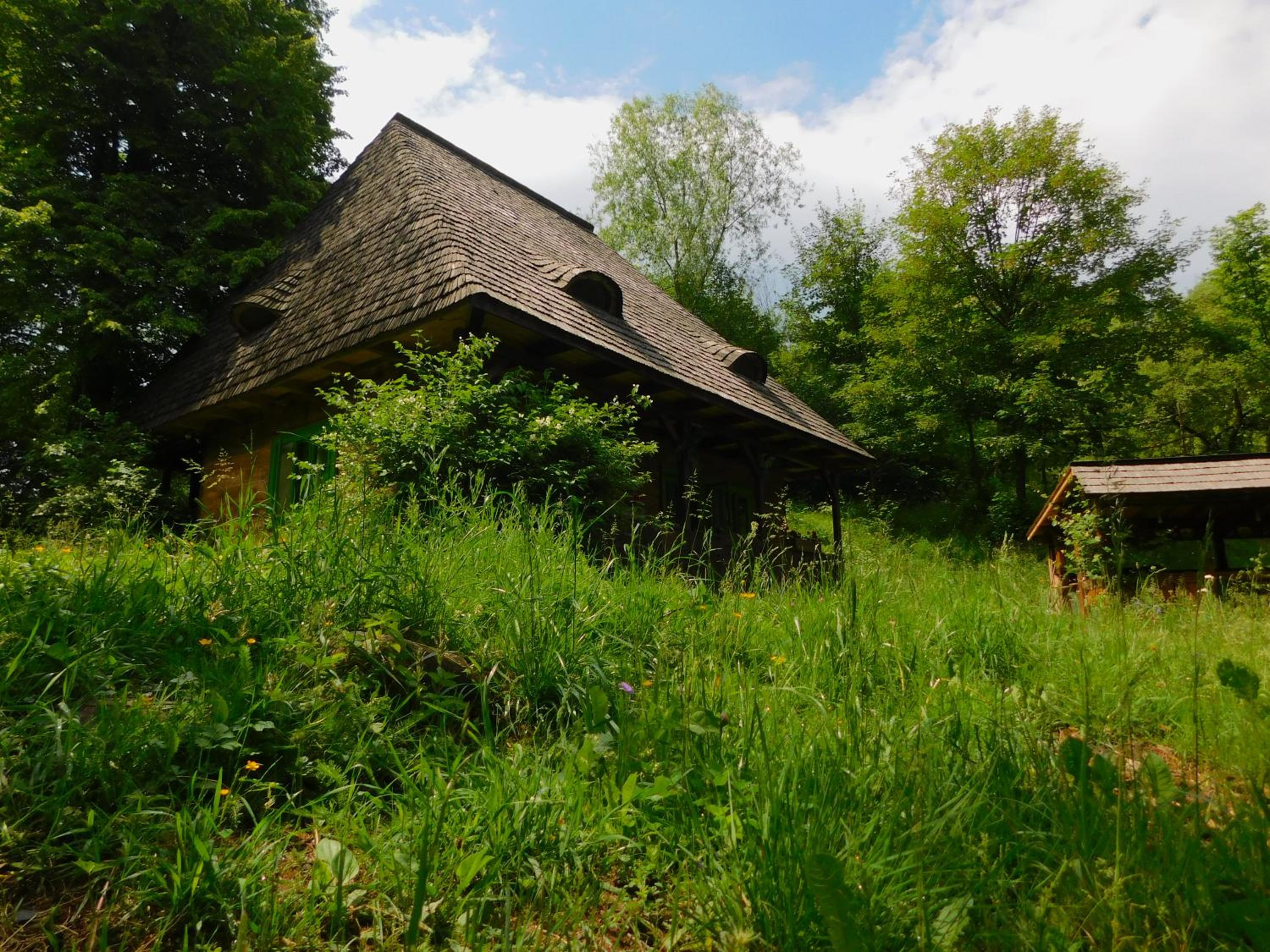 Photo 46