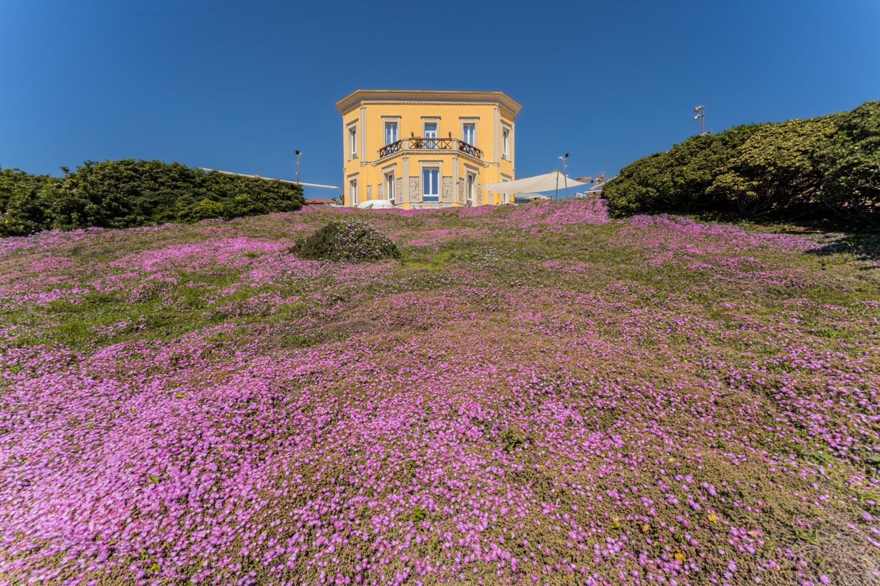 Villa Mosca 23