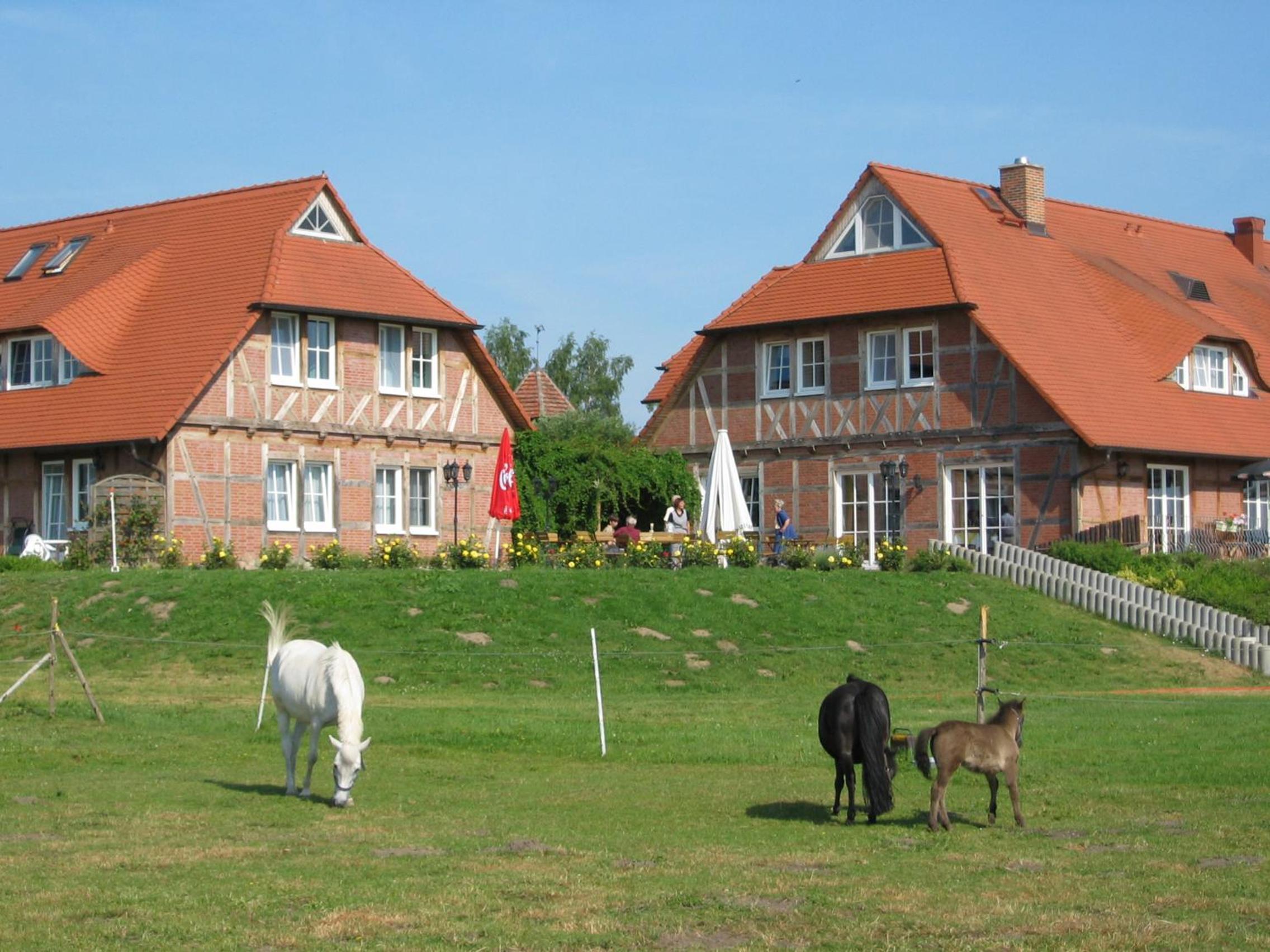Flair Seehotel Zielow - Property Image 31