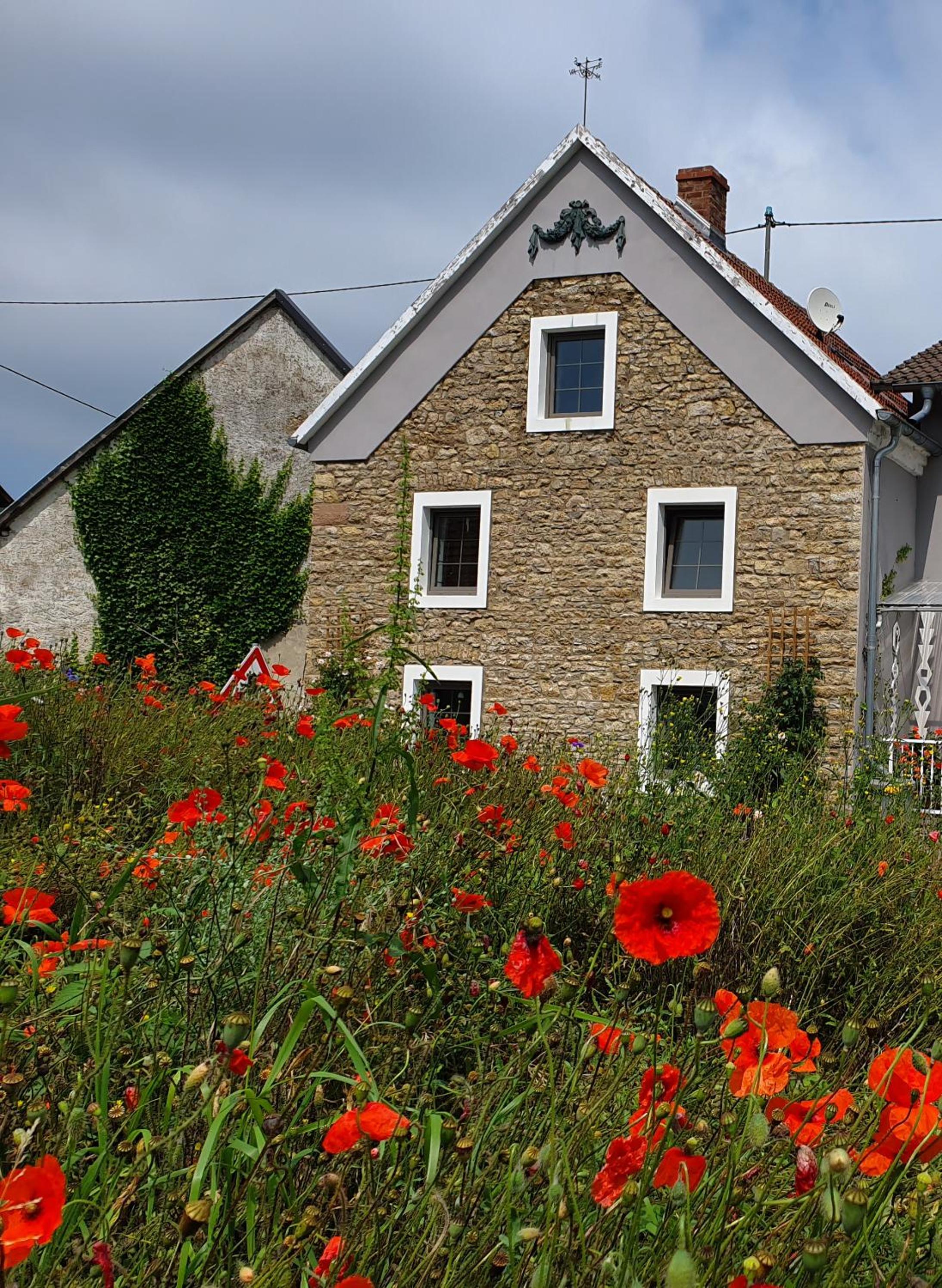 Ferienhaus am Eifelsteig