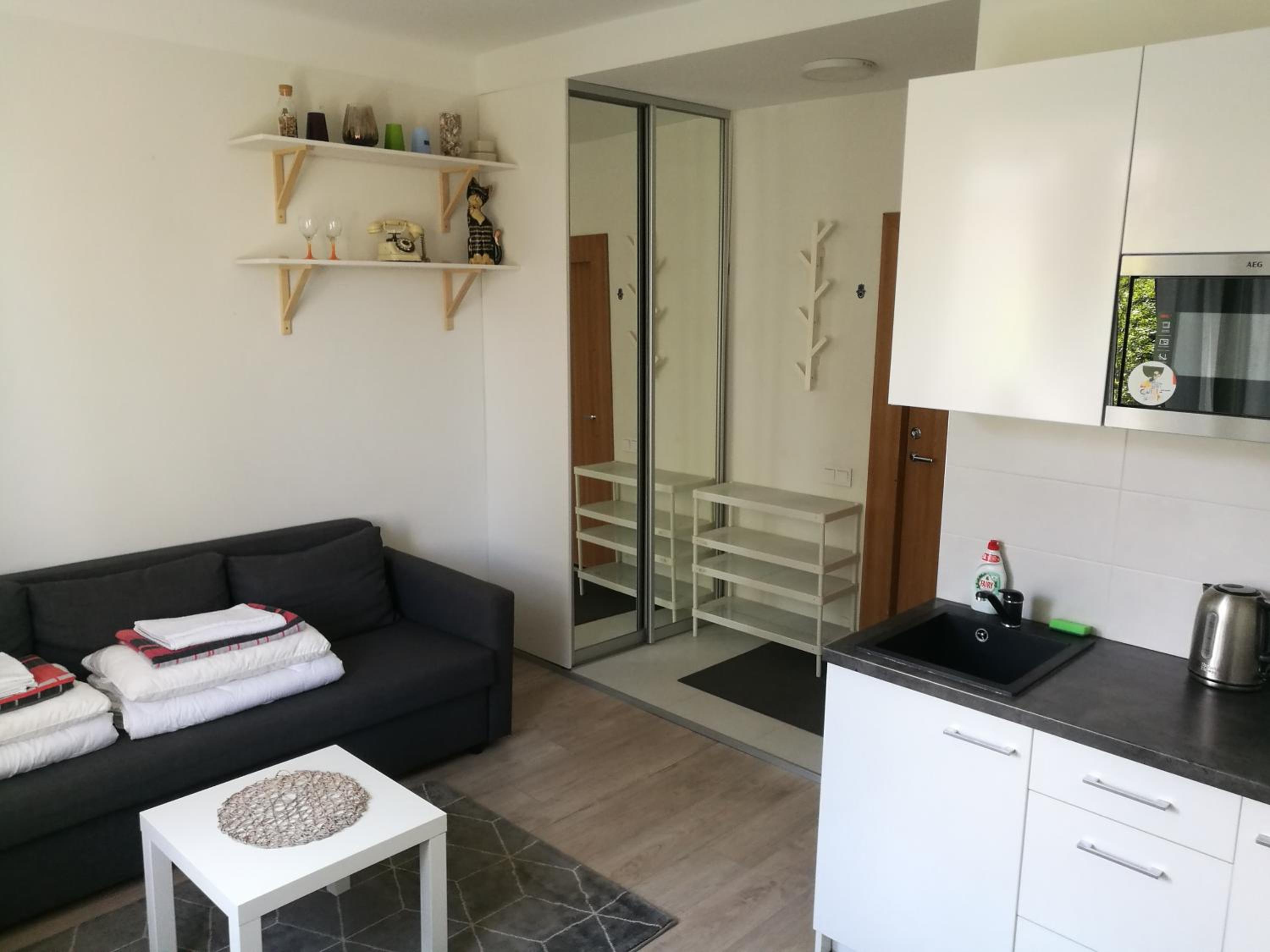 Vilnius Town Apartmen
