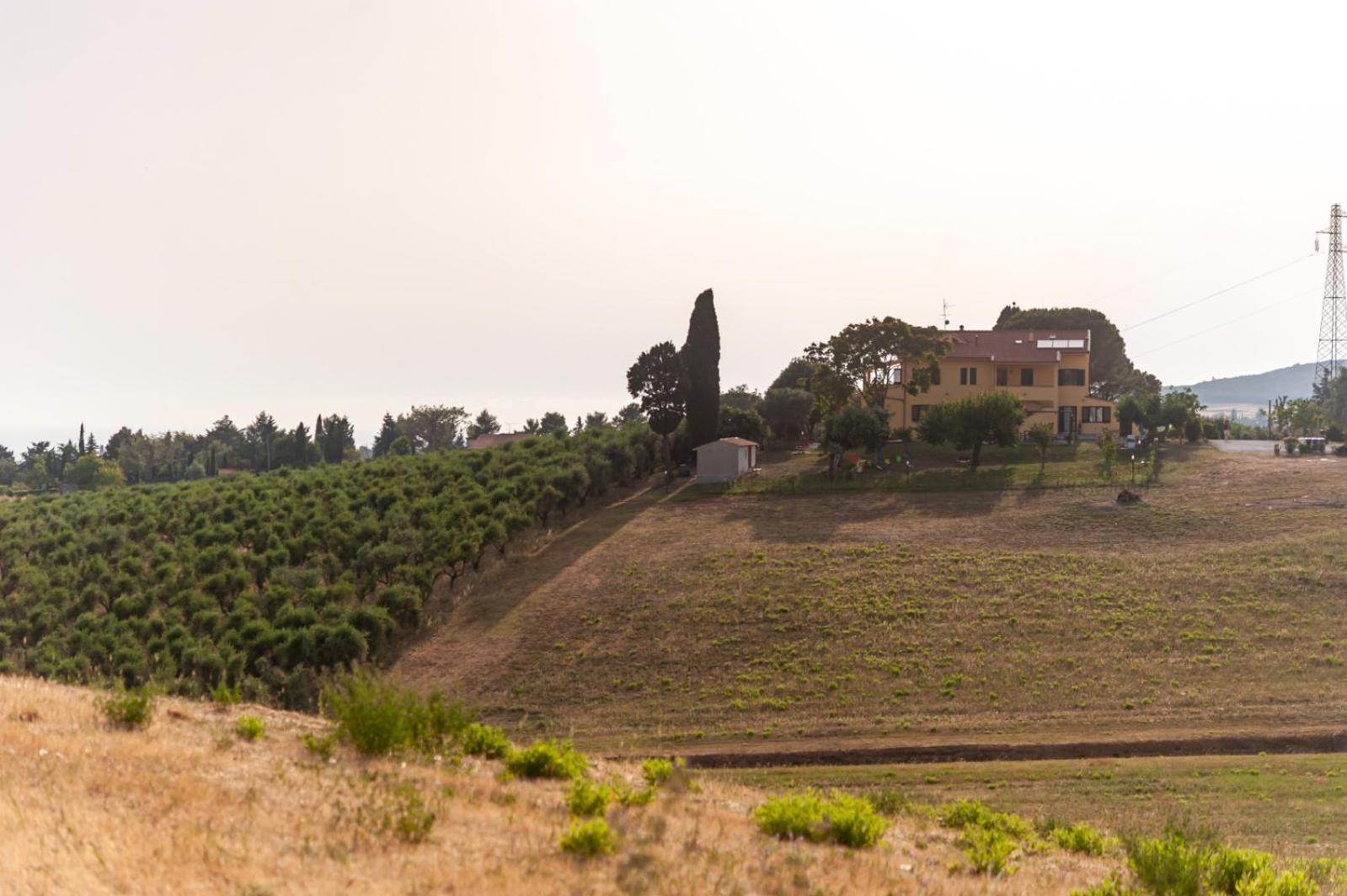 Agriturismo Podere La Maestà, photo 26