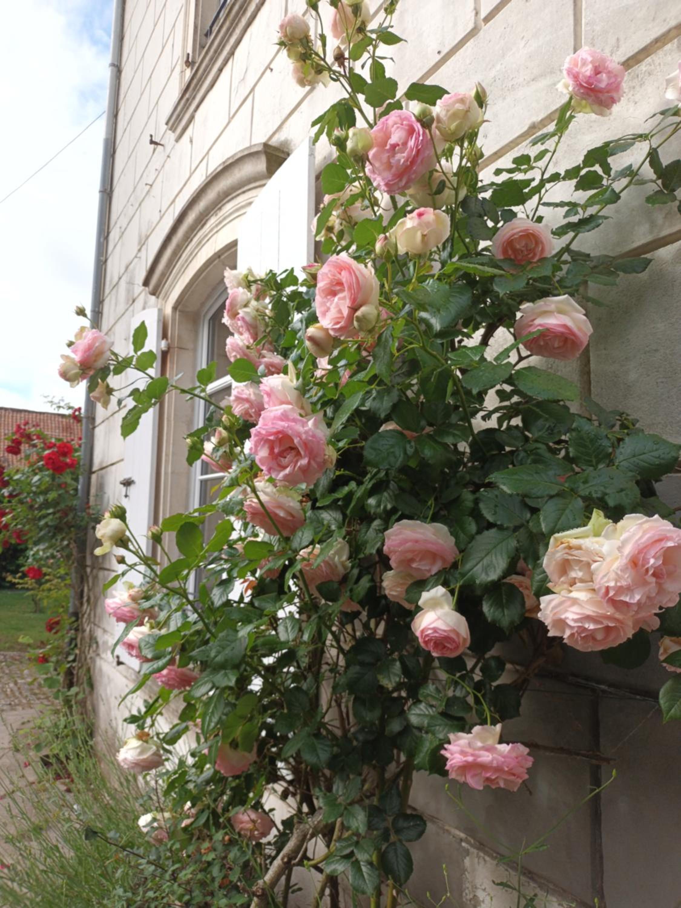 Photo 48