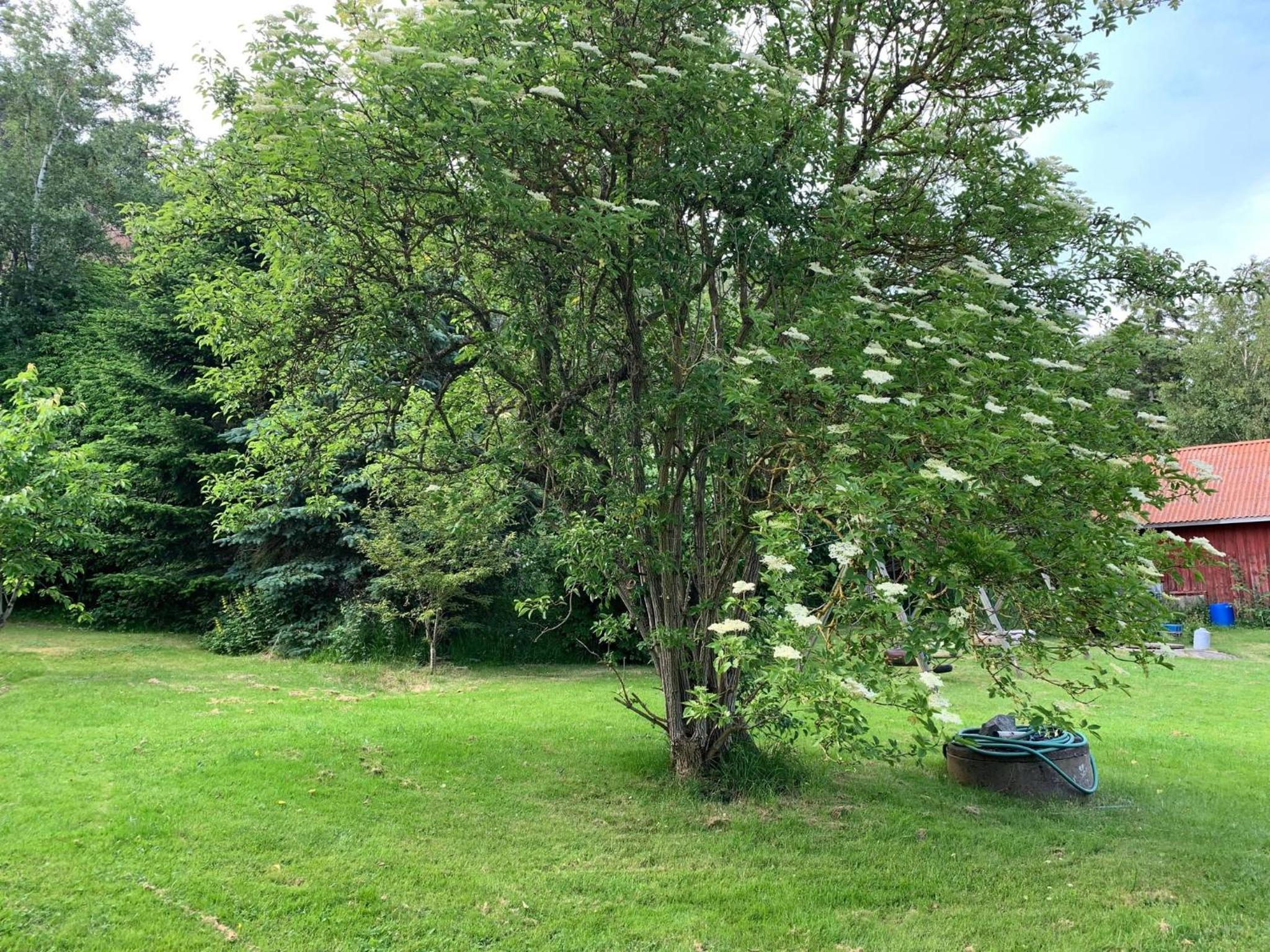 Naturnära gård i Tyfta