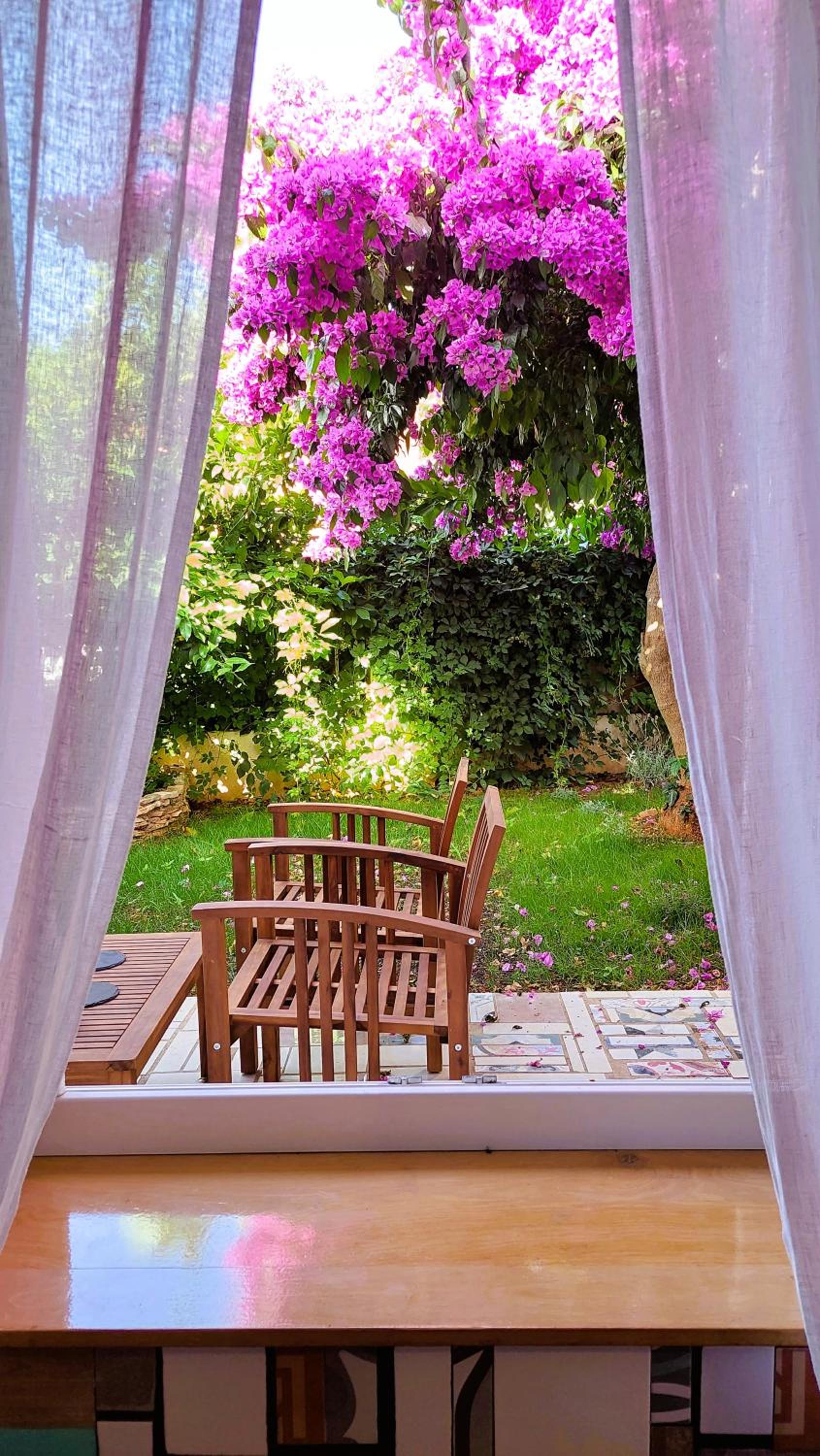 Holiday home Zora - family vacation house near protected area of the Nature Park Kamenjak, with green yard, WiFi, Air-con view 4