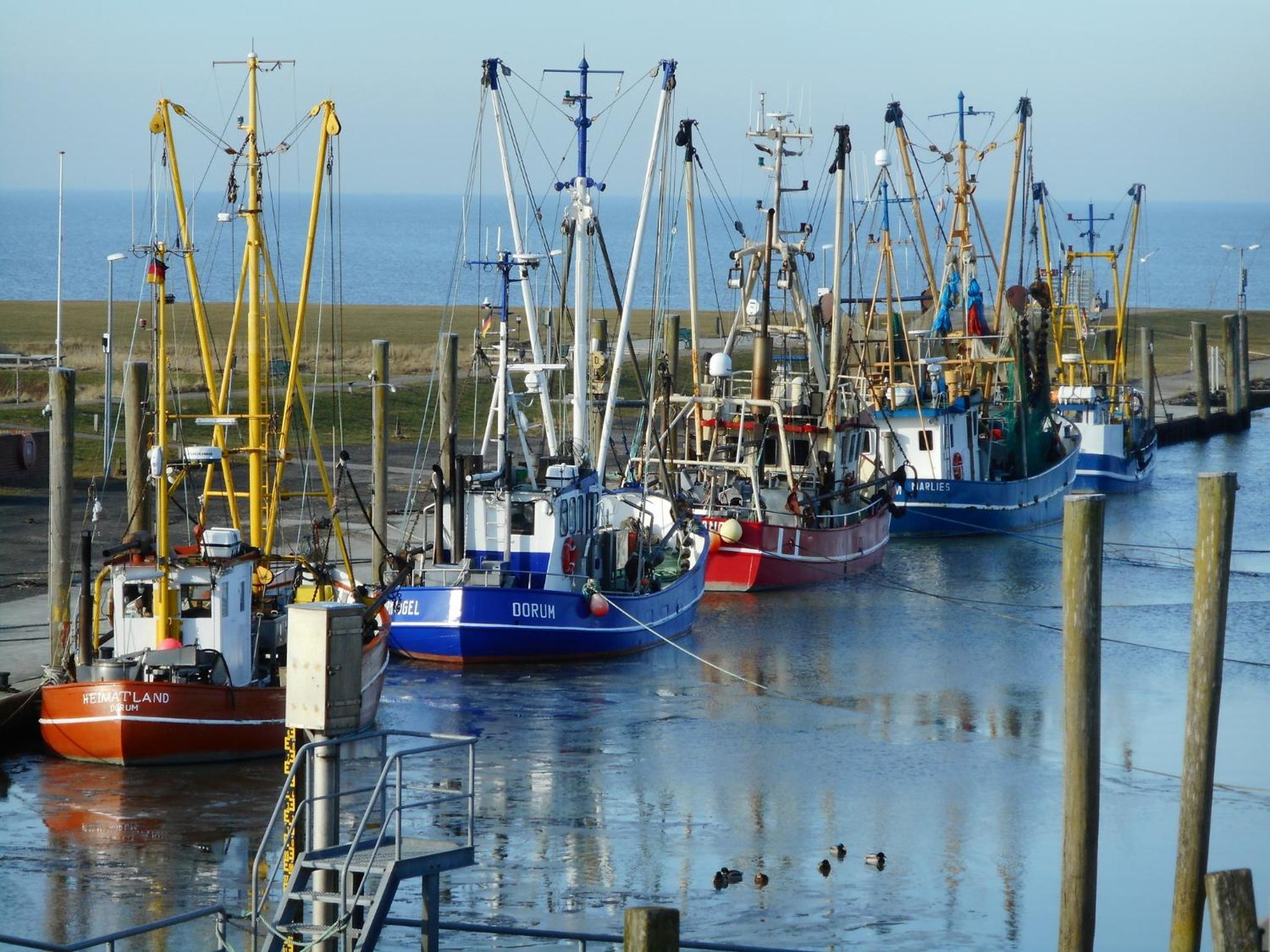 Nordsee Ferienhaus Diemel