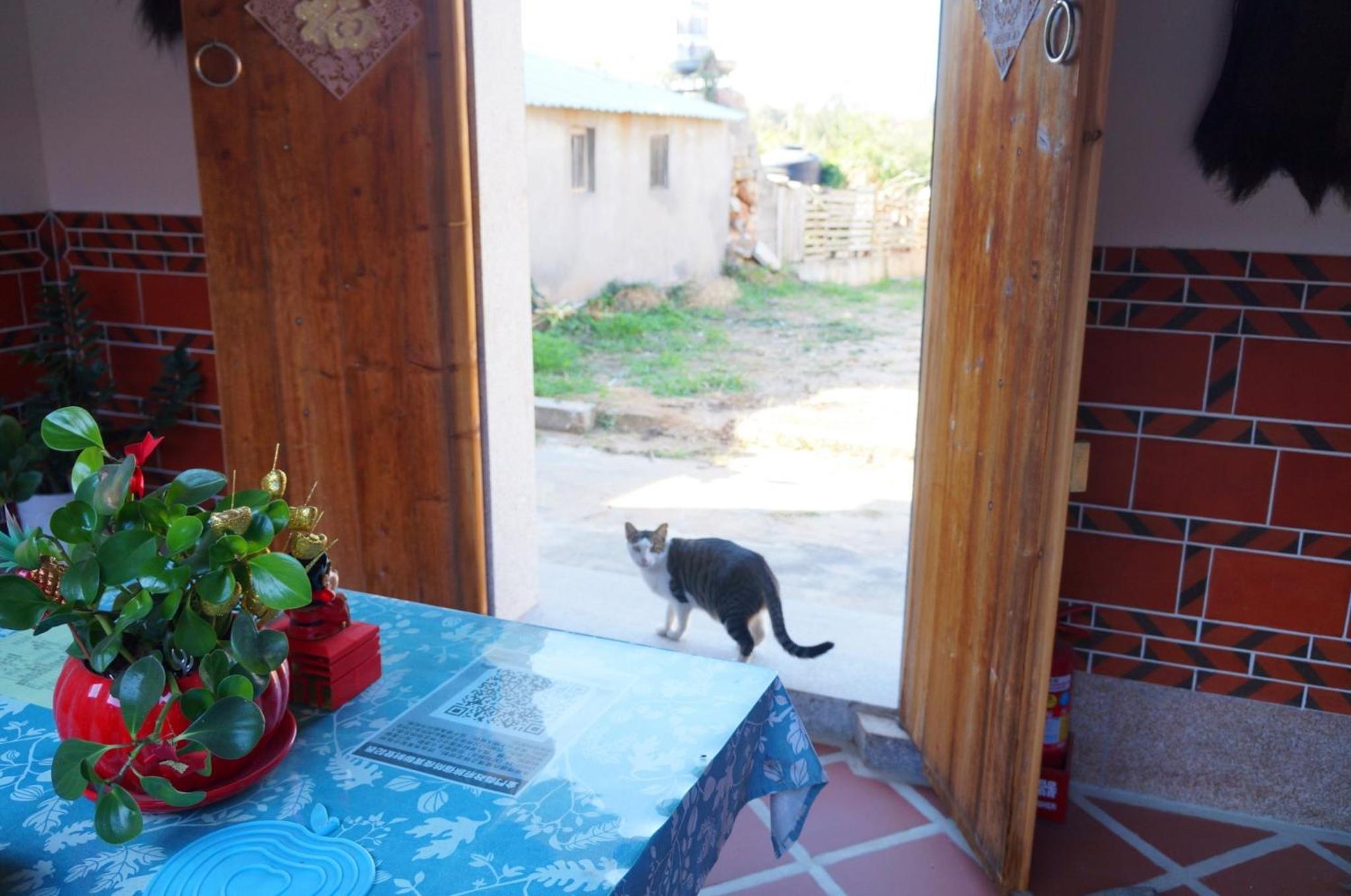 Photo 14