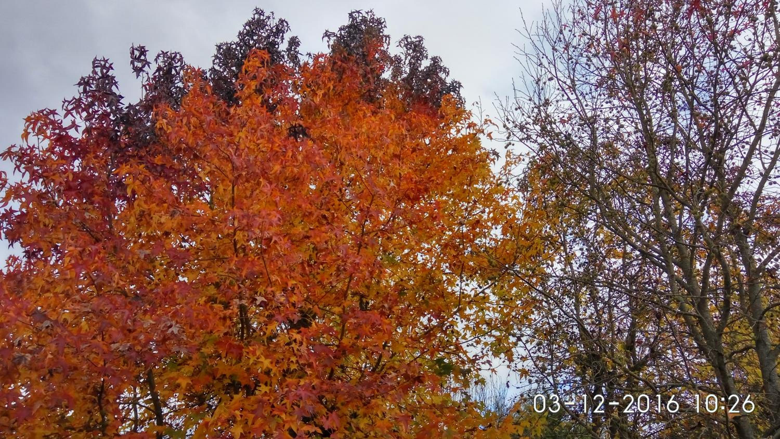 Photo 34