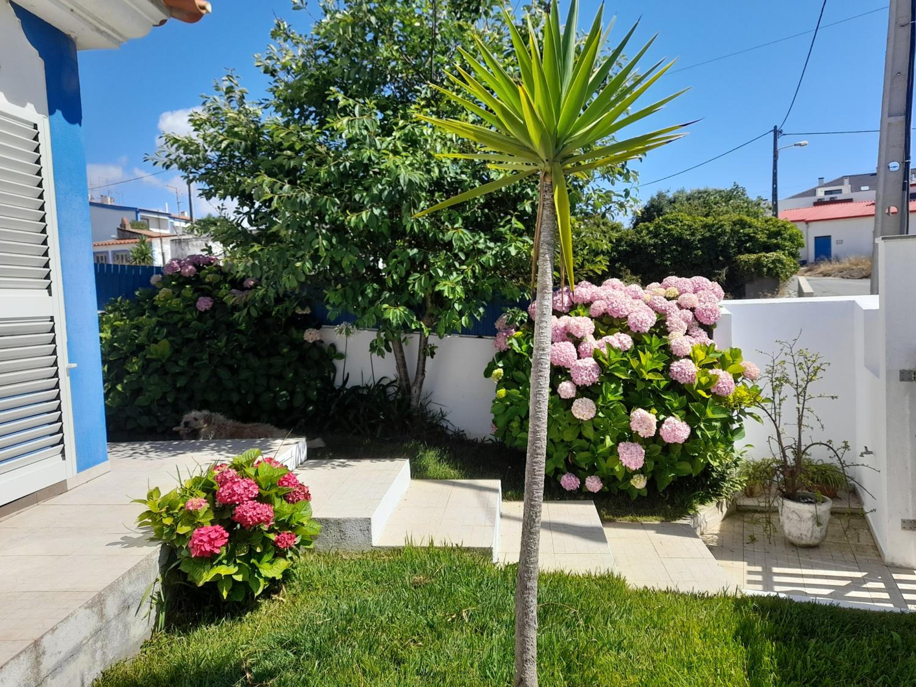 Villa Alegria view 3