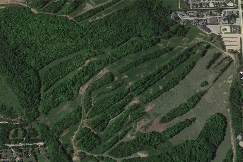 Slopeside Sanctuary - Ski In/Ski Out