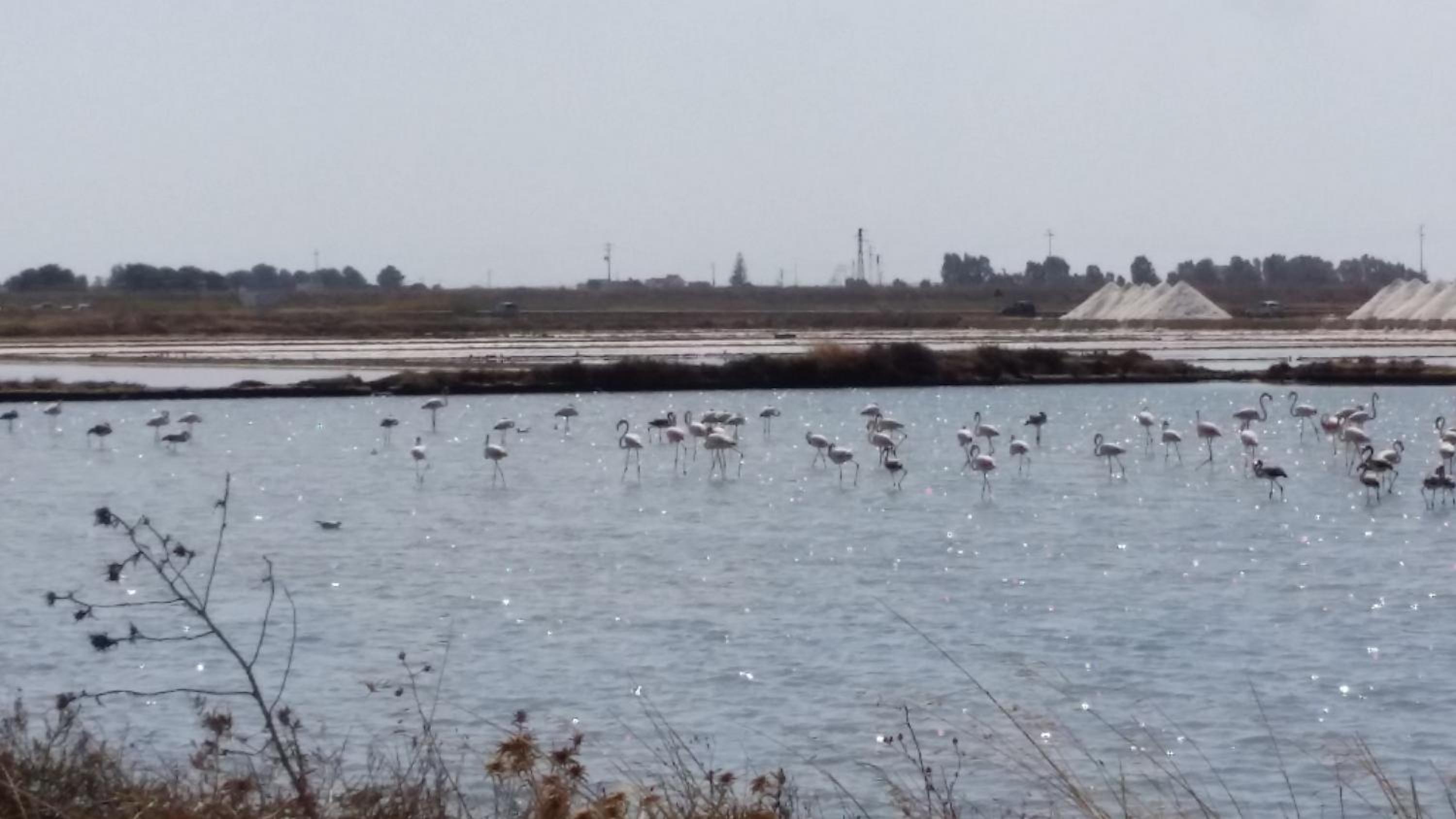 B&B Trapani Bedda photo 2