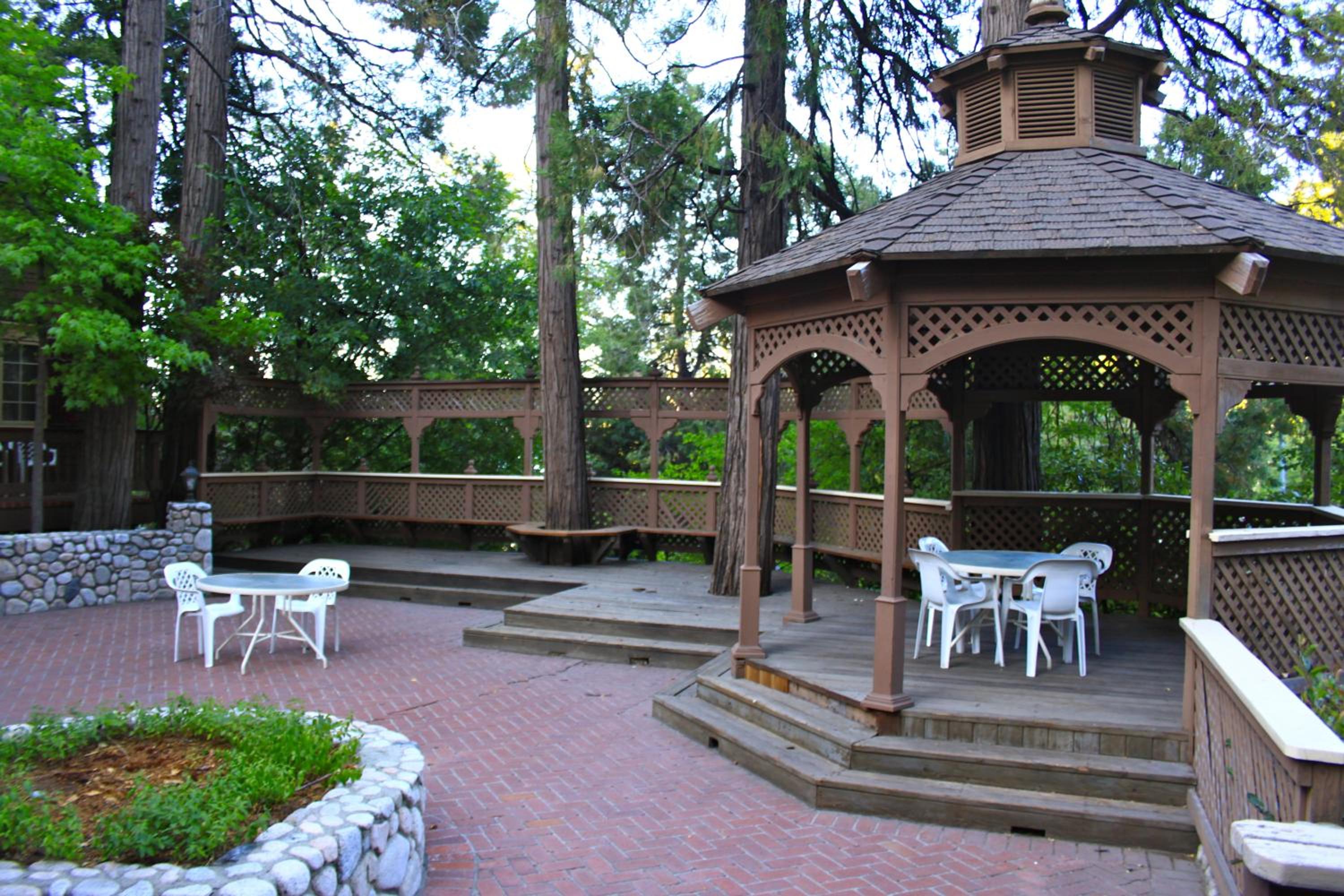 Photo 8