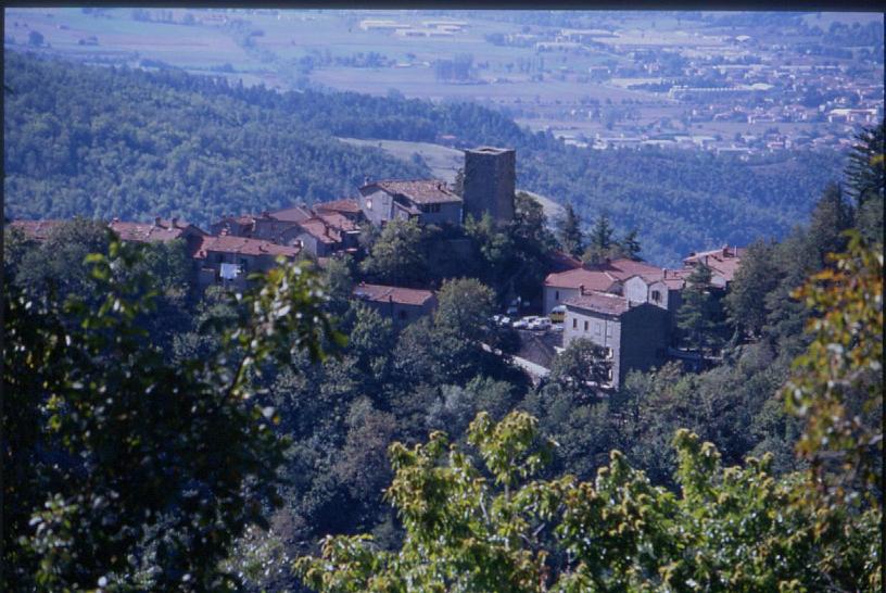 il Nido