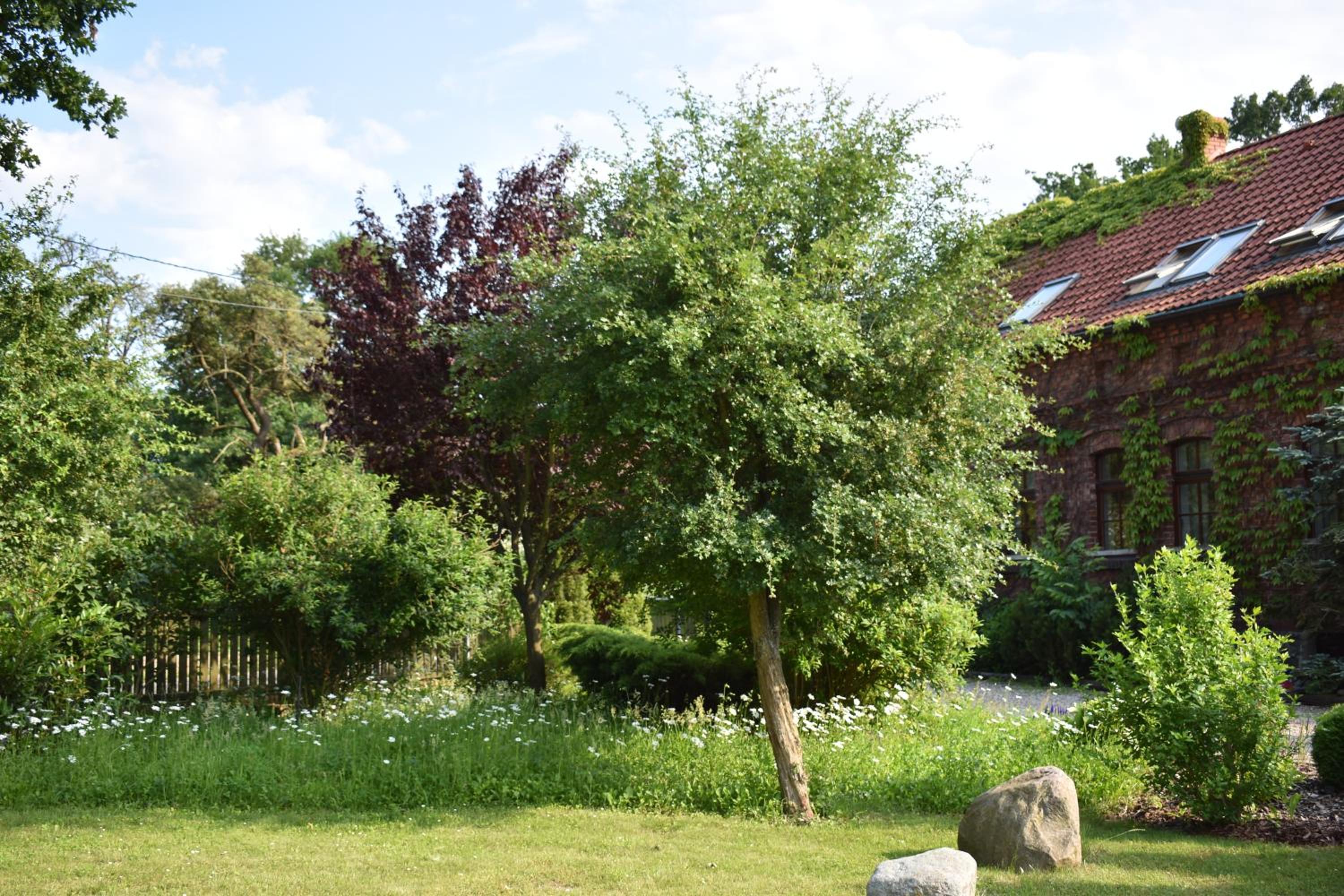 Photo 42