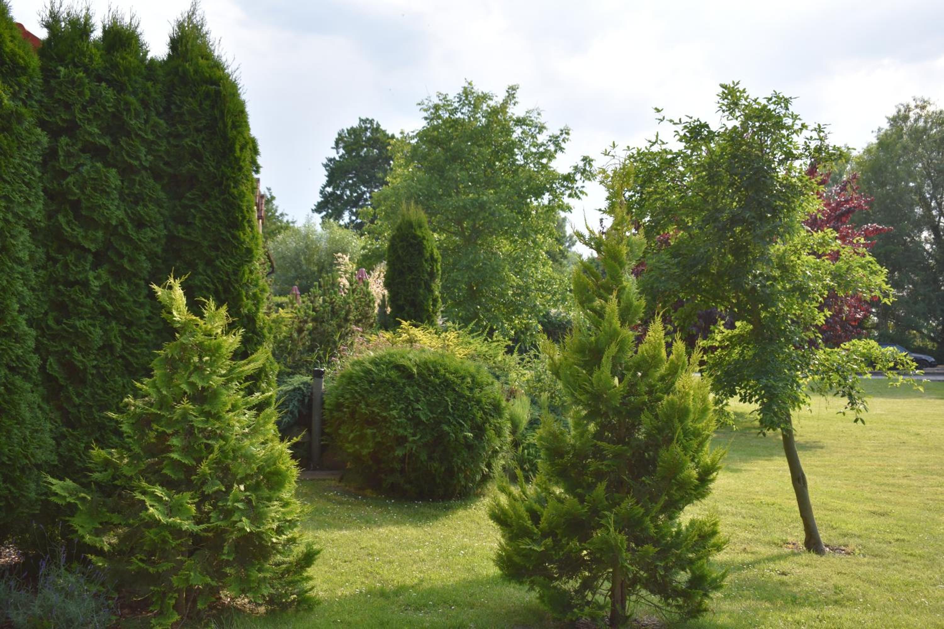 Photo 43