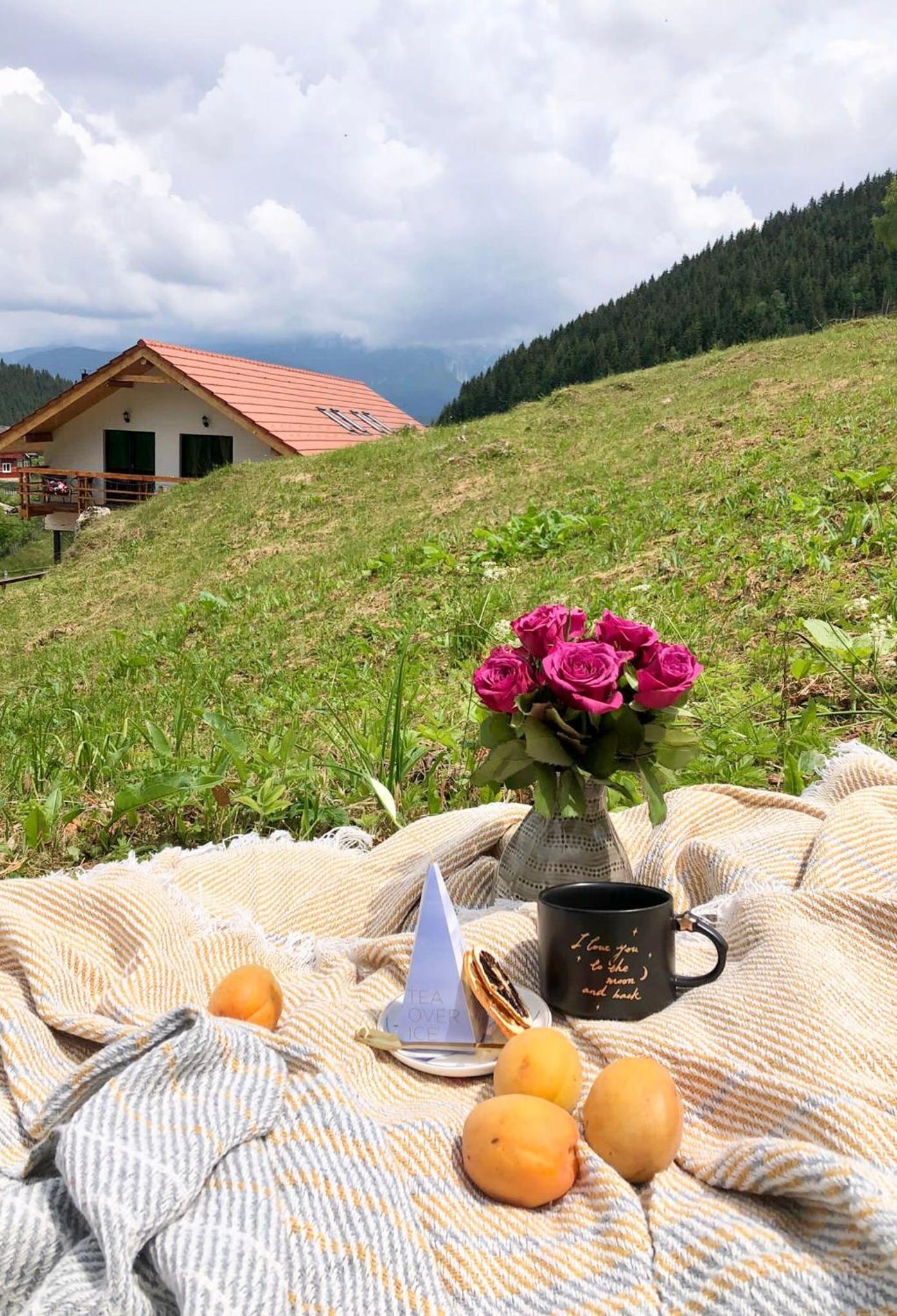 Casa de Sub Munte Cozy Chalet view 5