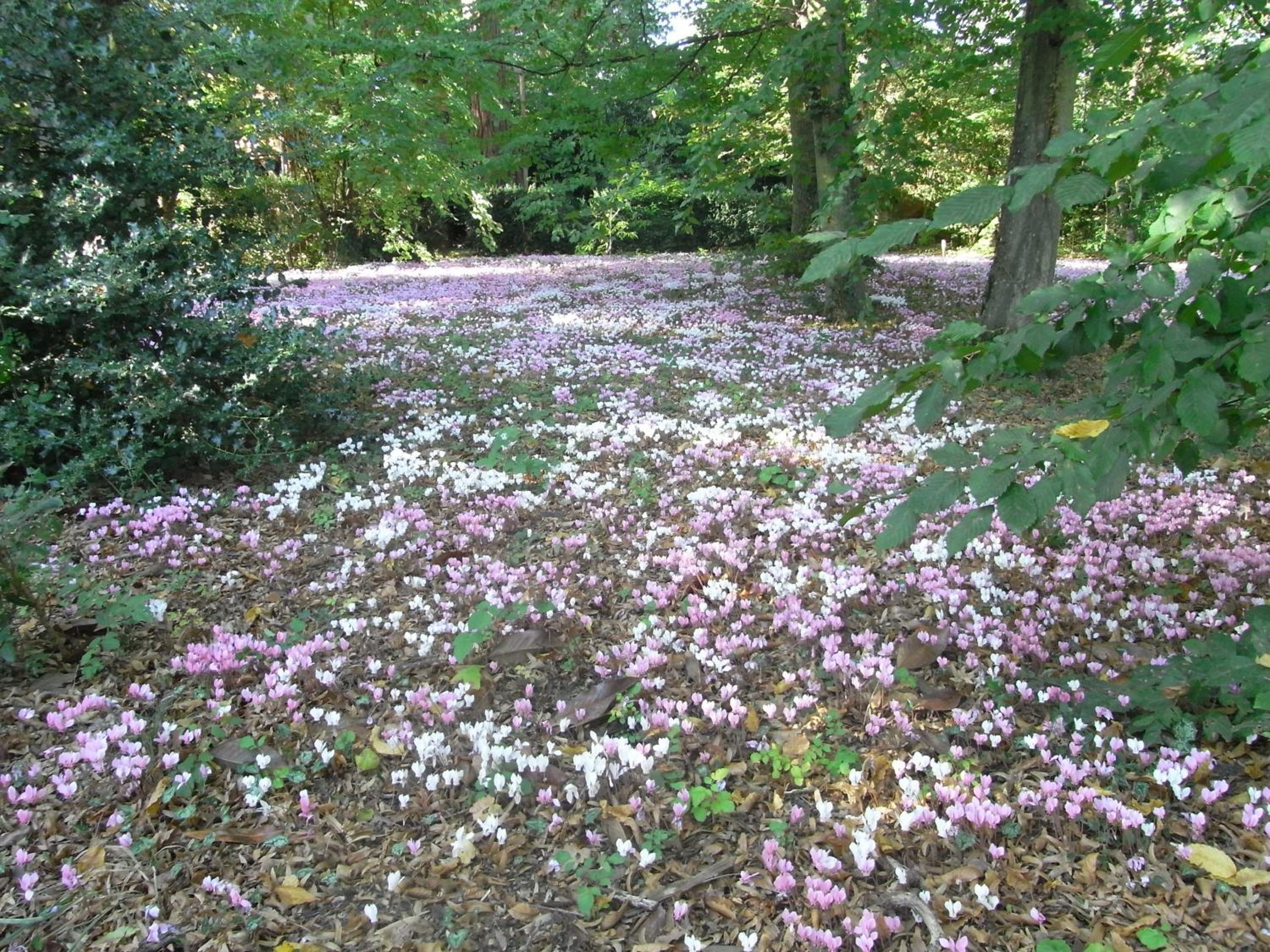 Manoir Du Parc (Adults only)