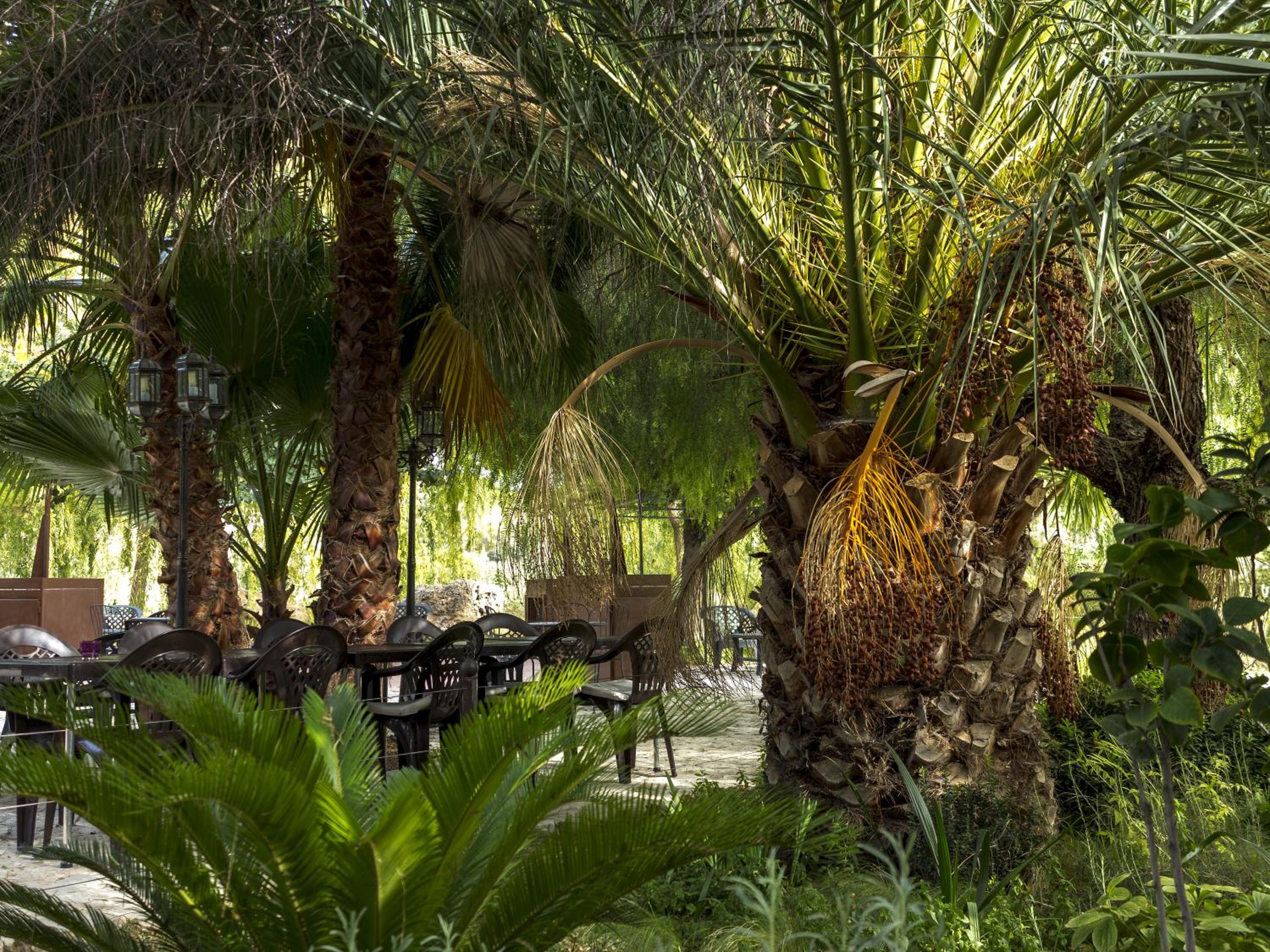 Jardines de Casablanca